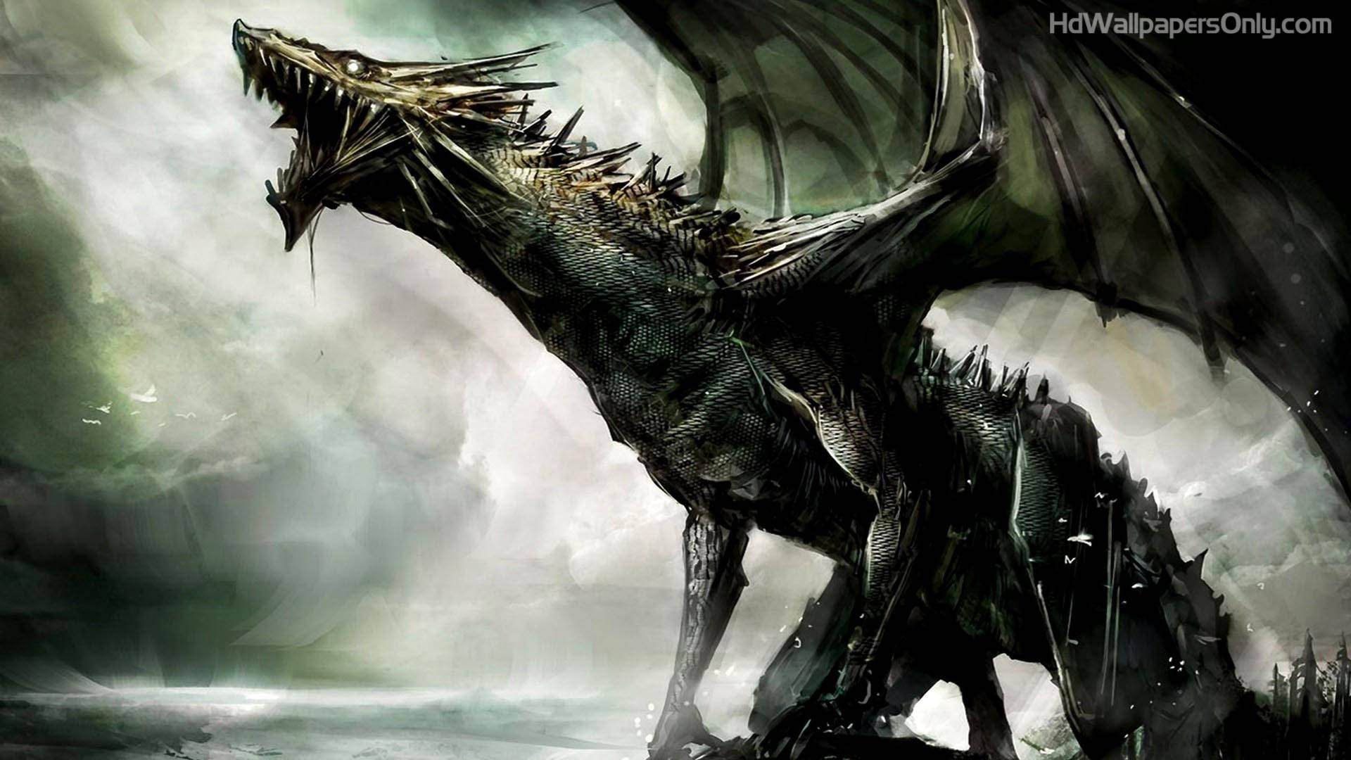 Hd Dragon Roaring Background