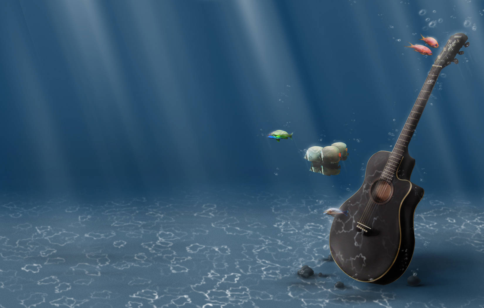 Hd Fishes And Guitar Underwater Background