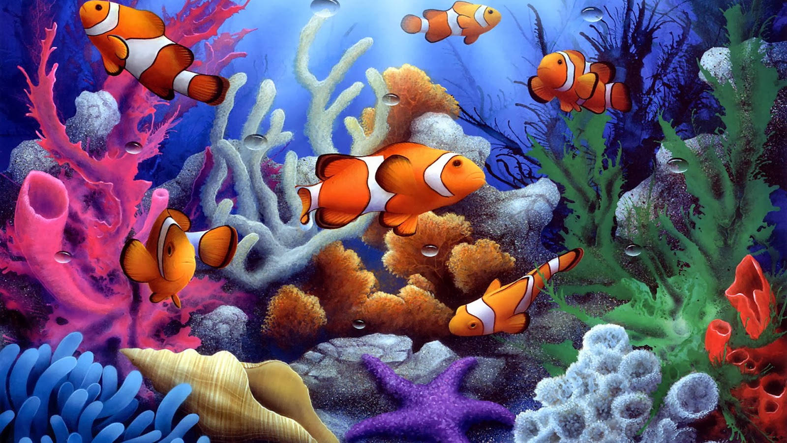 Hd Fishes Orange Clownfish Digital Art Background