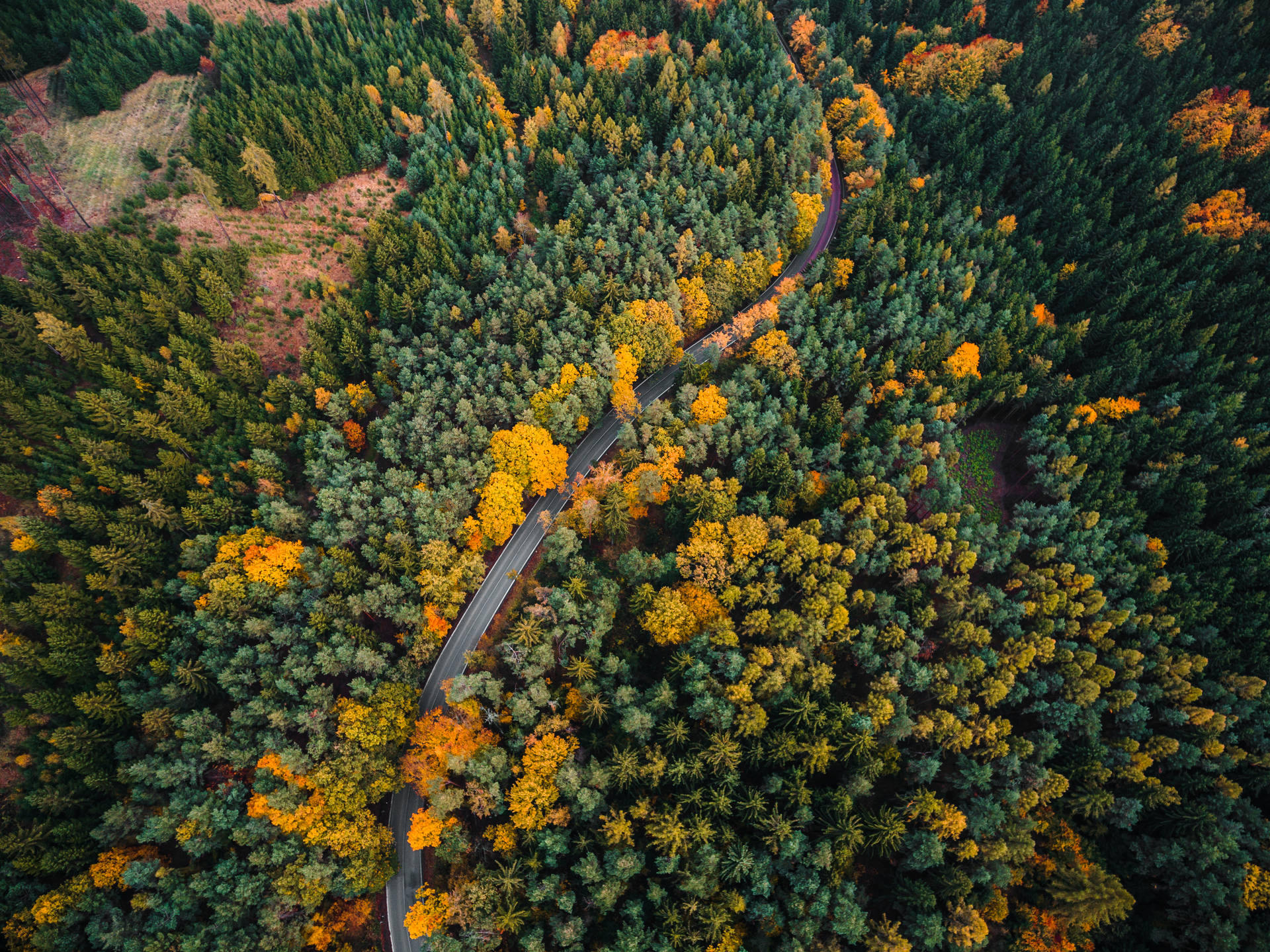 Hd Forest Aerial View Background