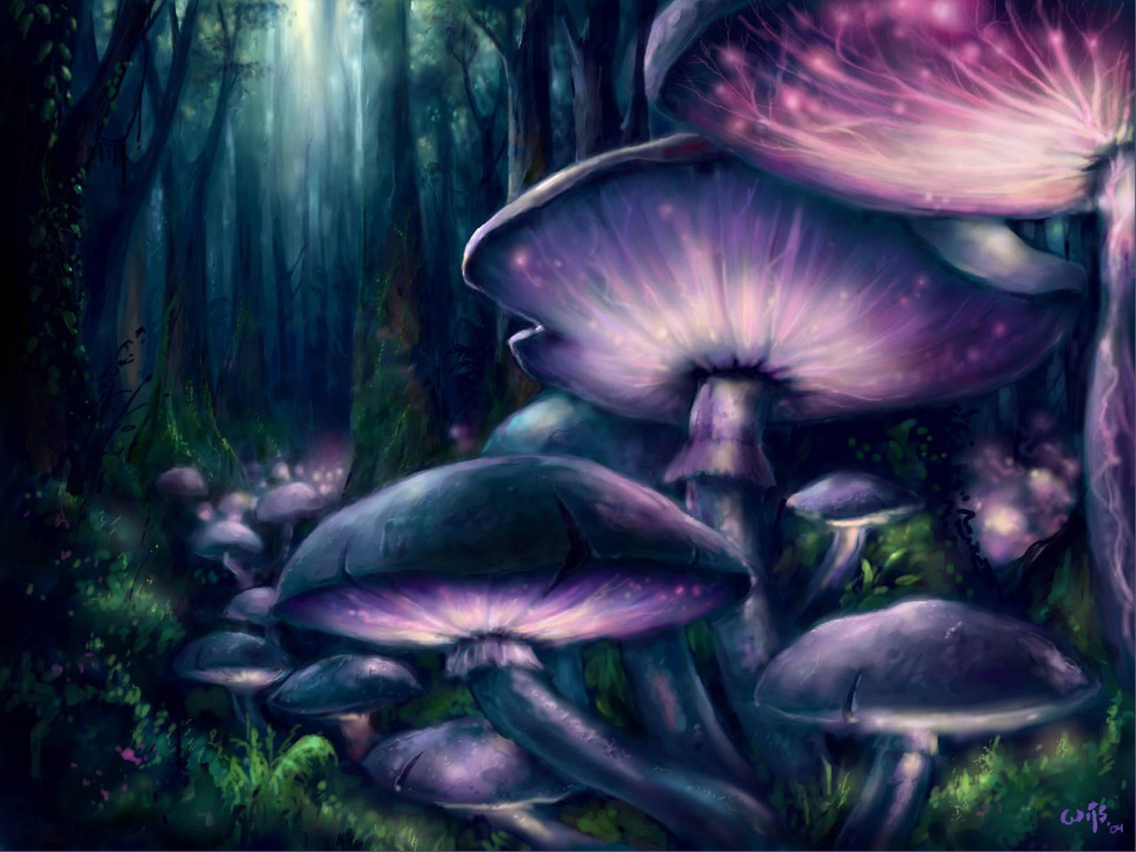 Hd Forest Of Mushrooms Background