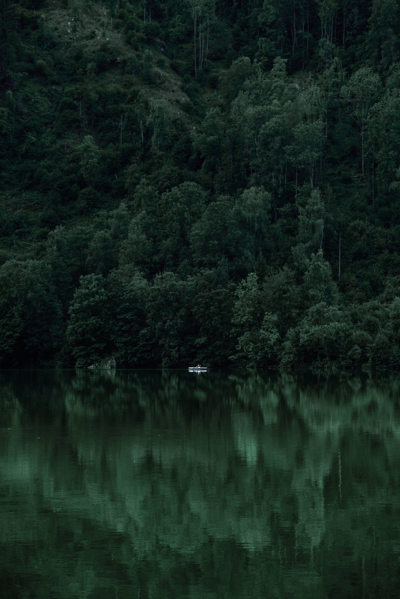 Hd Forest With White Boat Background