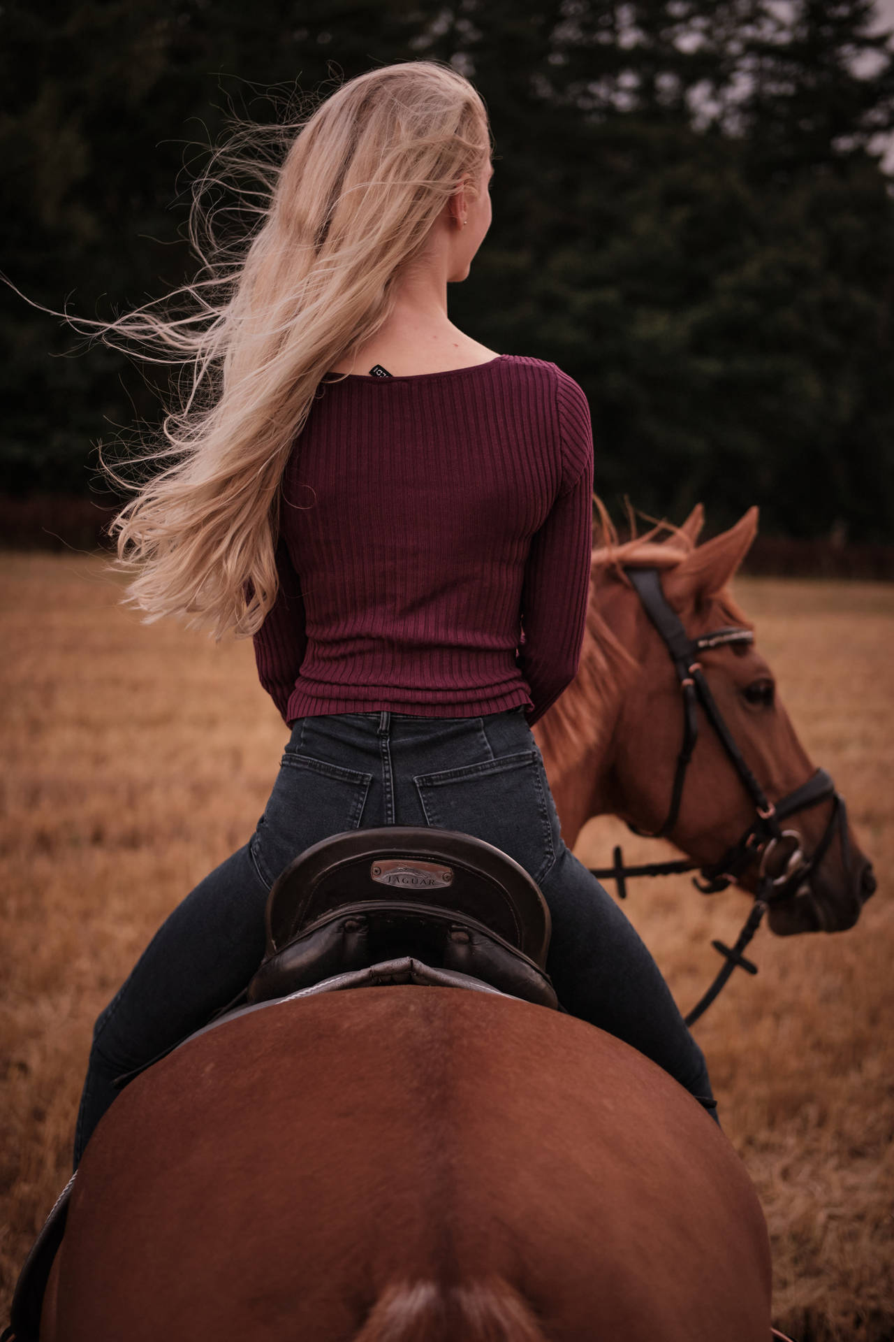 Hd Girl On Horse Background