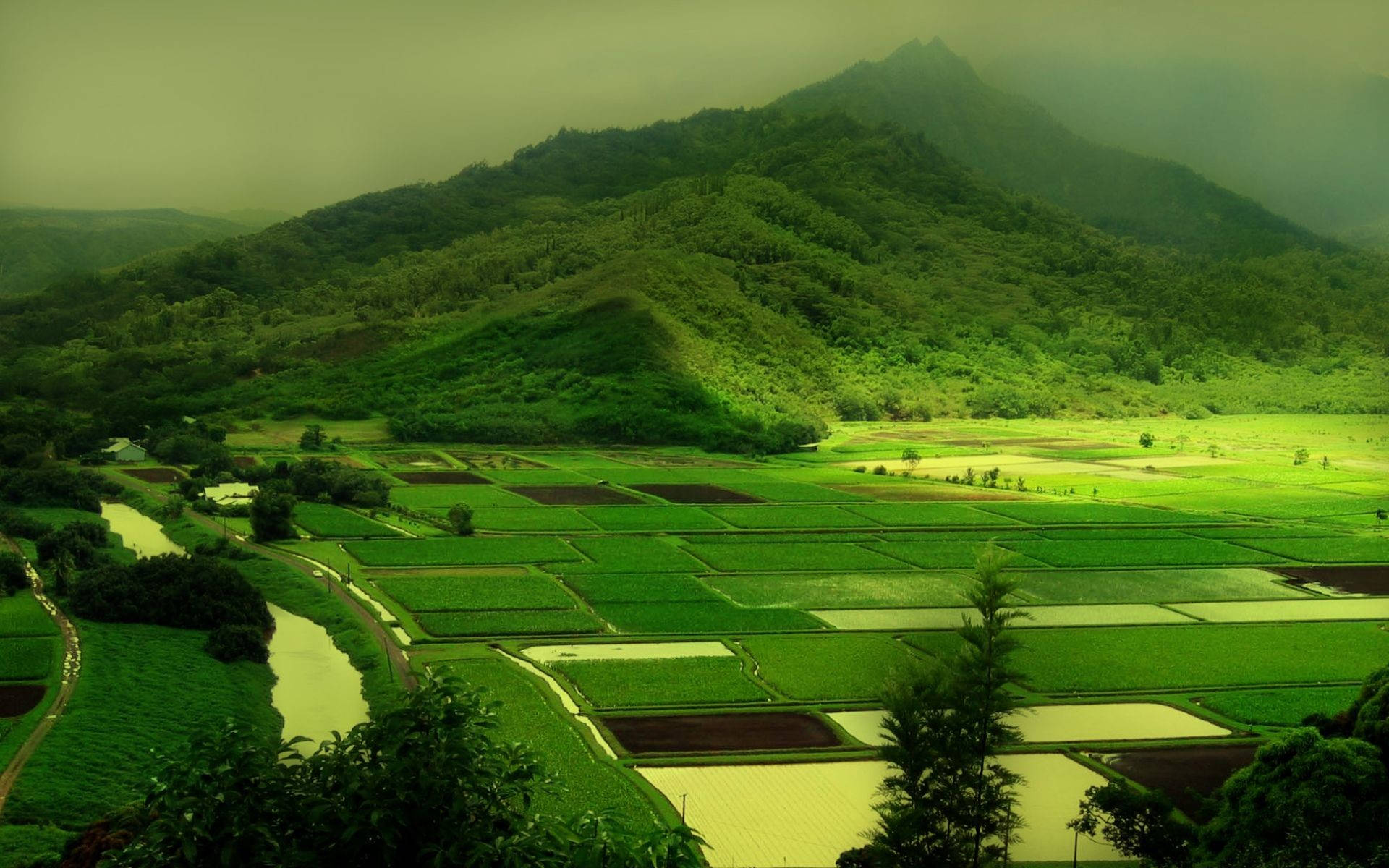 Hd Landscape Green Field And Mountain Background