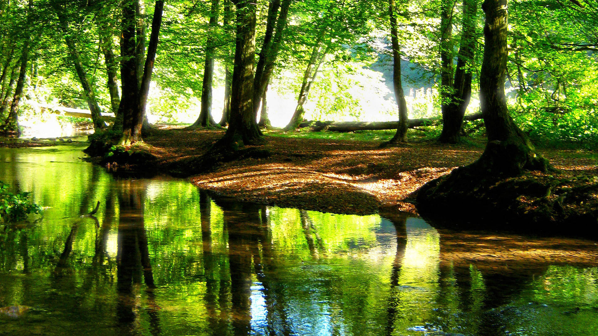 Hd Landscape Green Forest Stream Background
