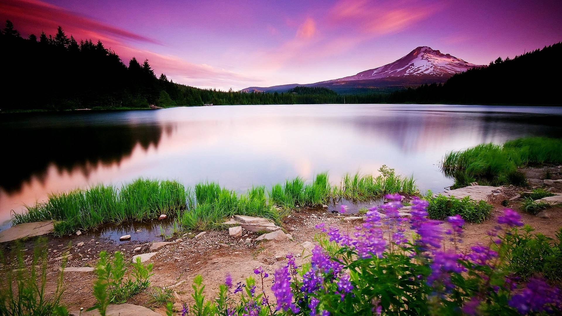 Hd Landscape Purple Sky Over The River