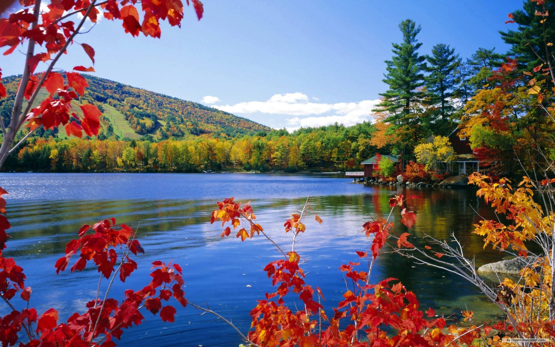 Hd Landscape Red Leaves On Calm Lake Background