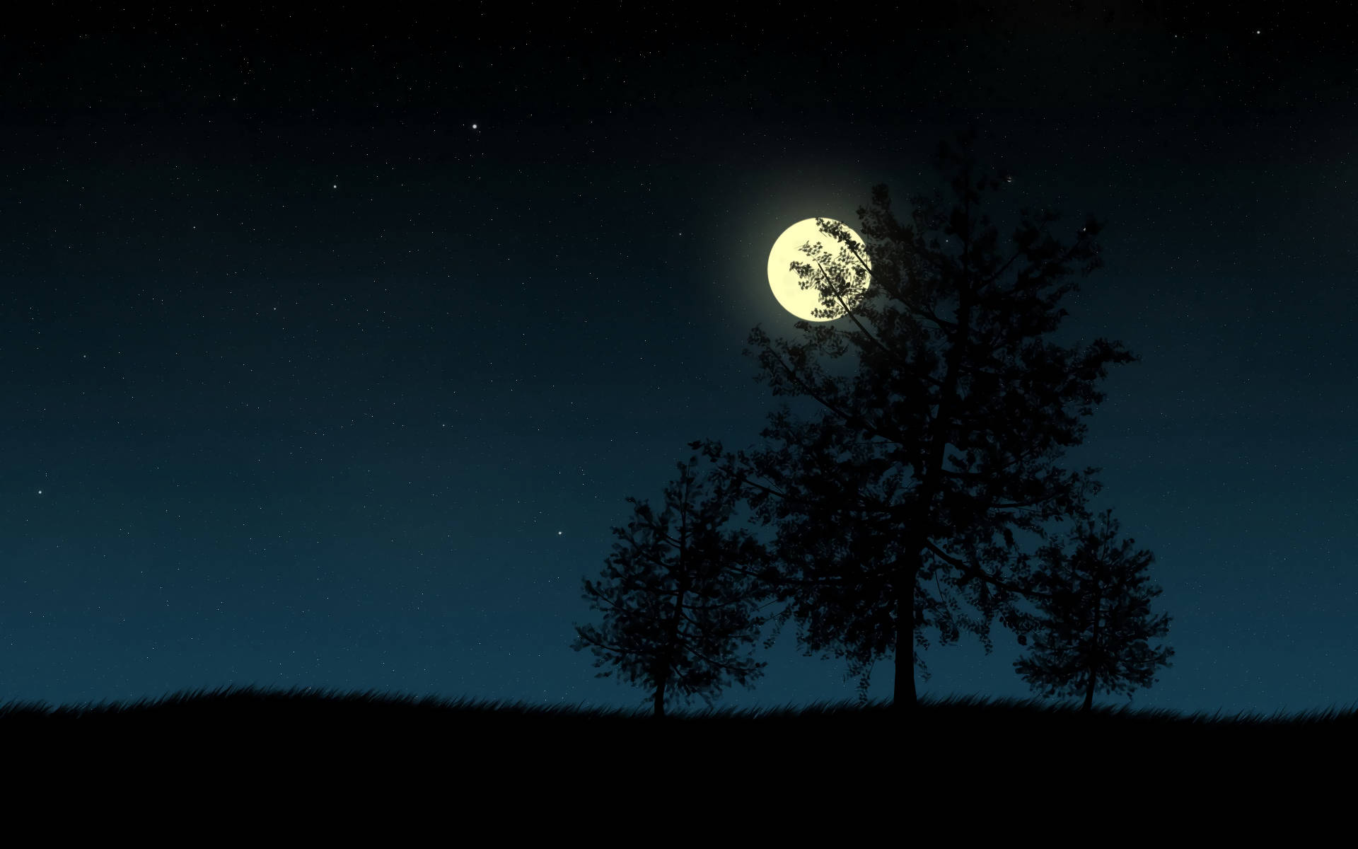 Hd Moon Glowing Behind Trees Background