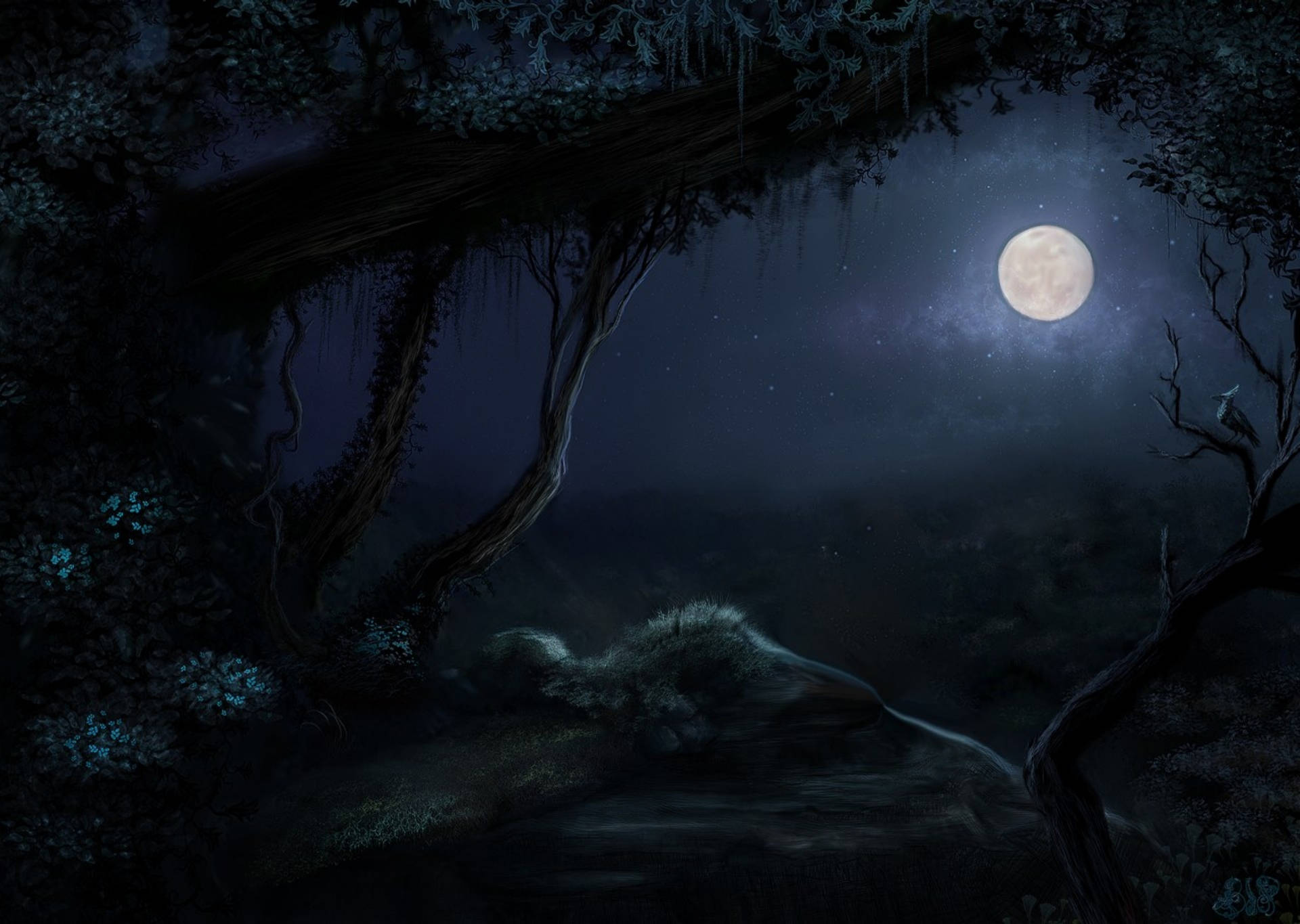 Hd Moon In A Dark Forest Background