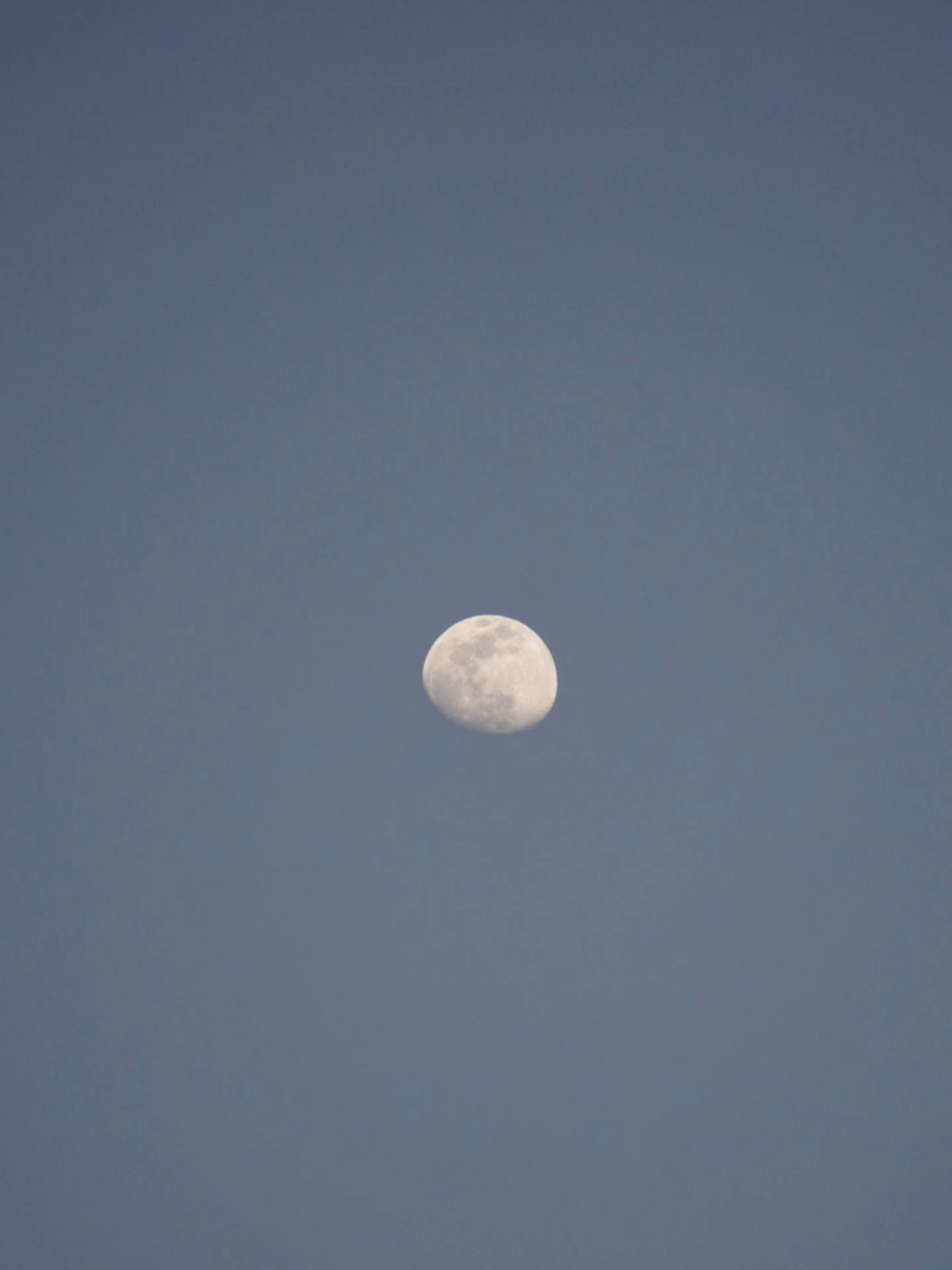 Hd Moon In The Gray Sky