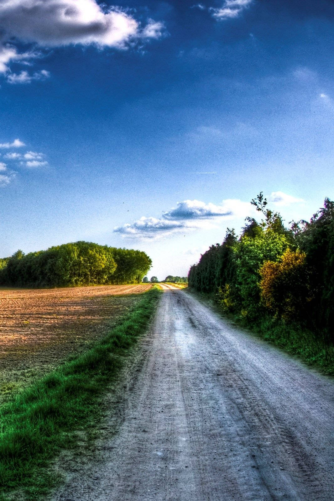 Hd Nature Phone Grass Field Road Background