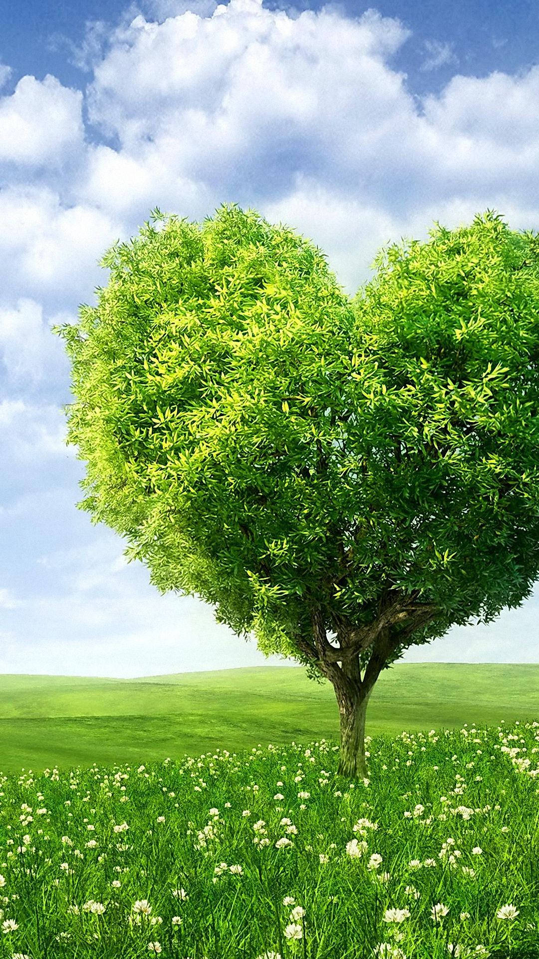 Hd Nature Phone Heart Tree Background