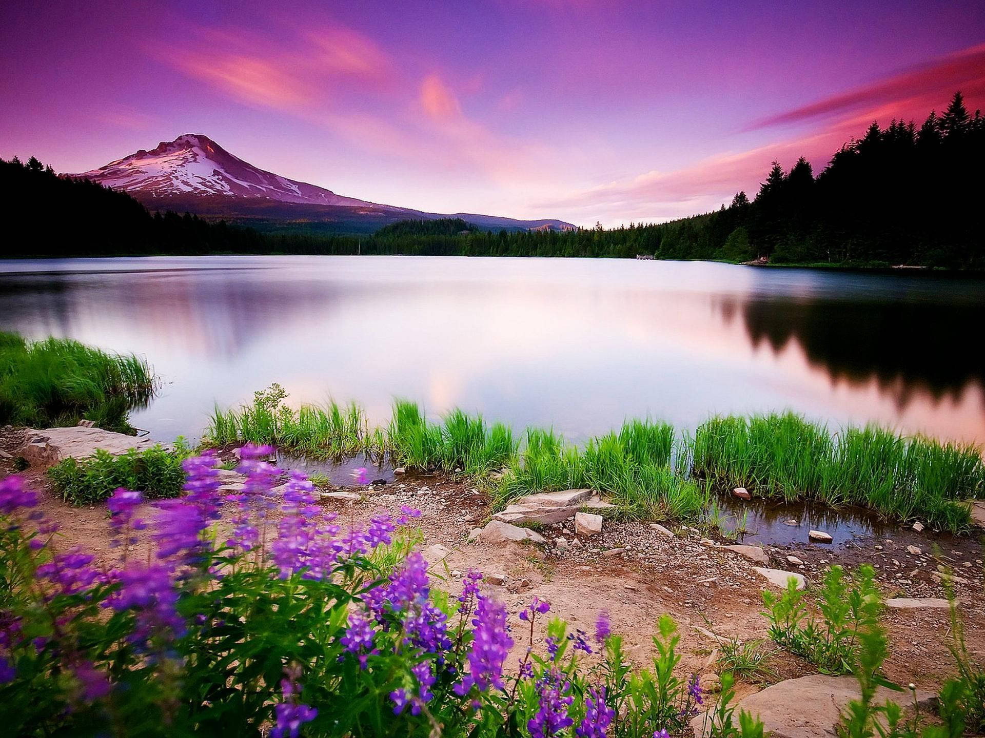 Hd Nature Pretty Landscape Background