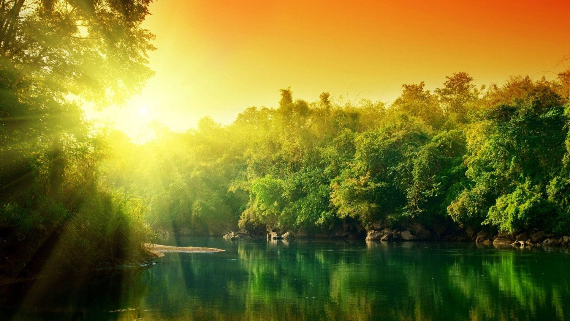Hd Nature Trees And River Background