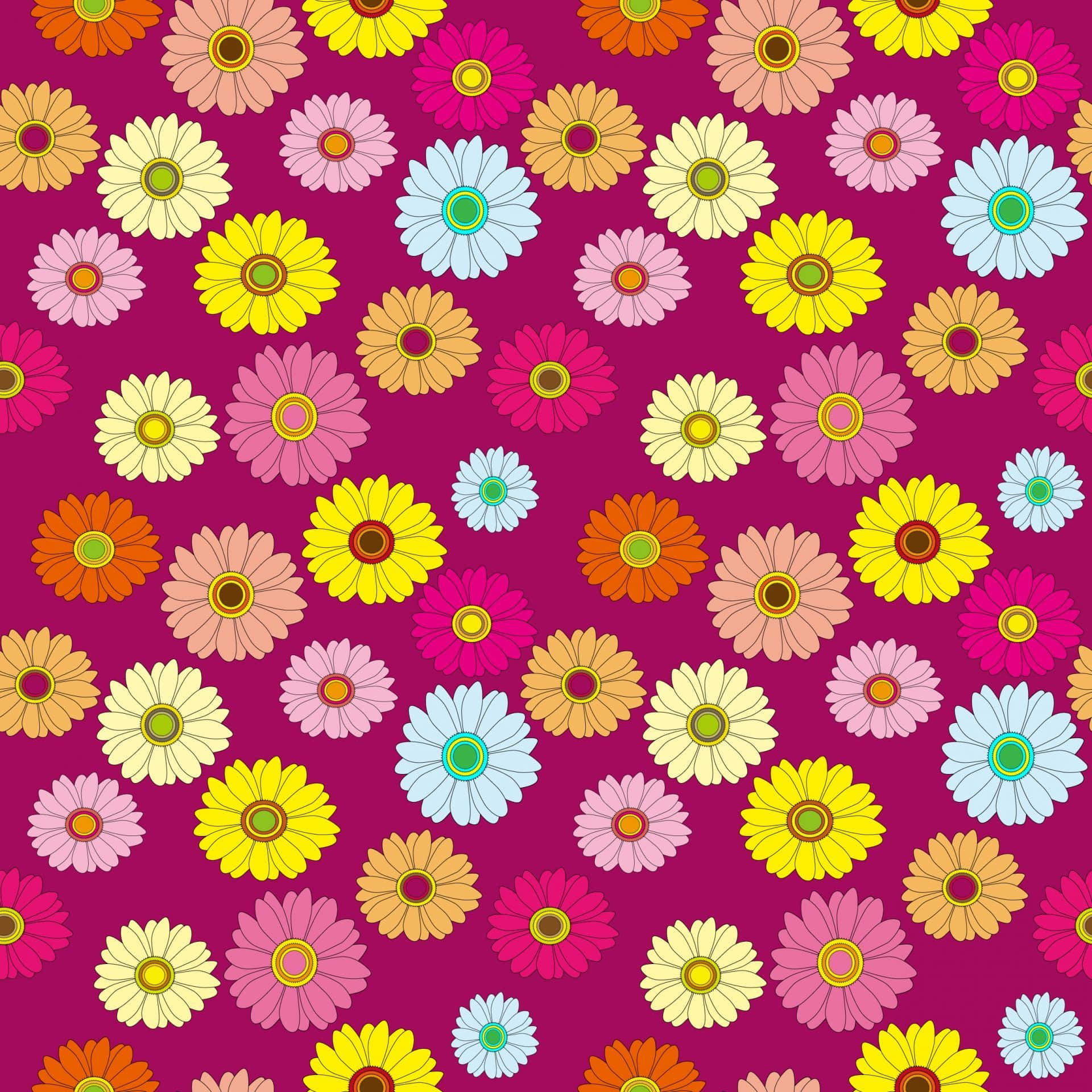 Hd Pattern Multi-colored Daisies Background