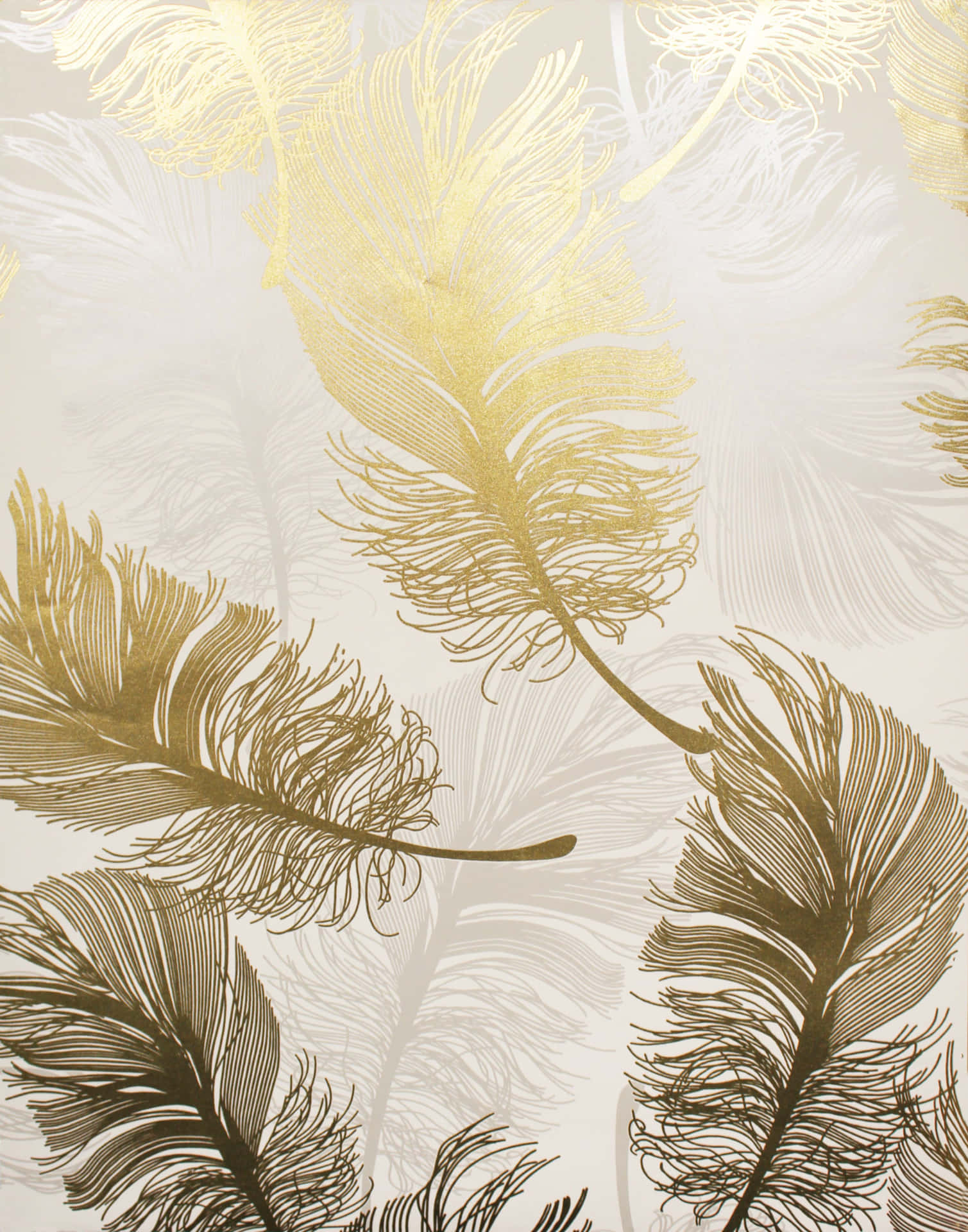 Hd Pattern White Gold Feathers Background