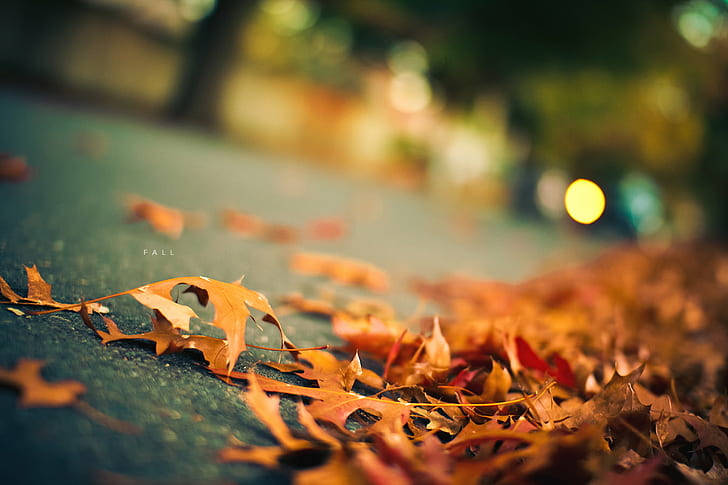 Hd Photography Of Swept Autumn Leaves On Street Background