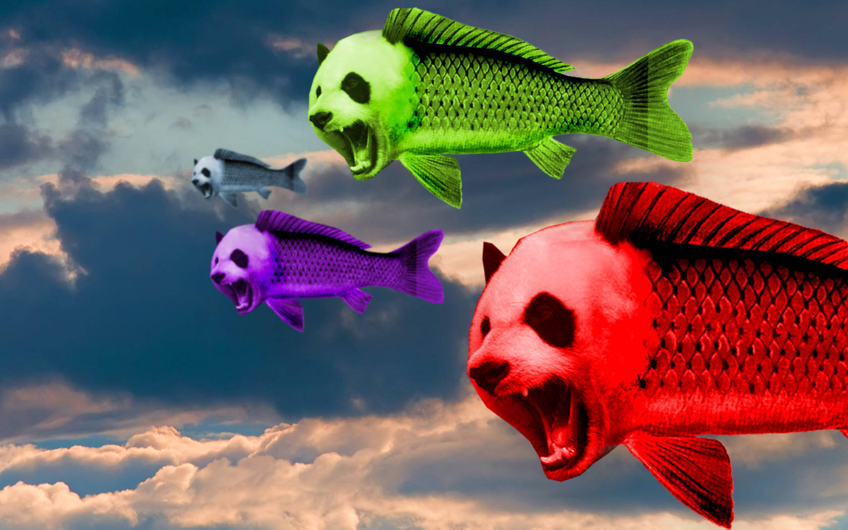 Hd Psychedelic Flying Pandafish Background