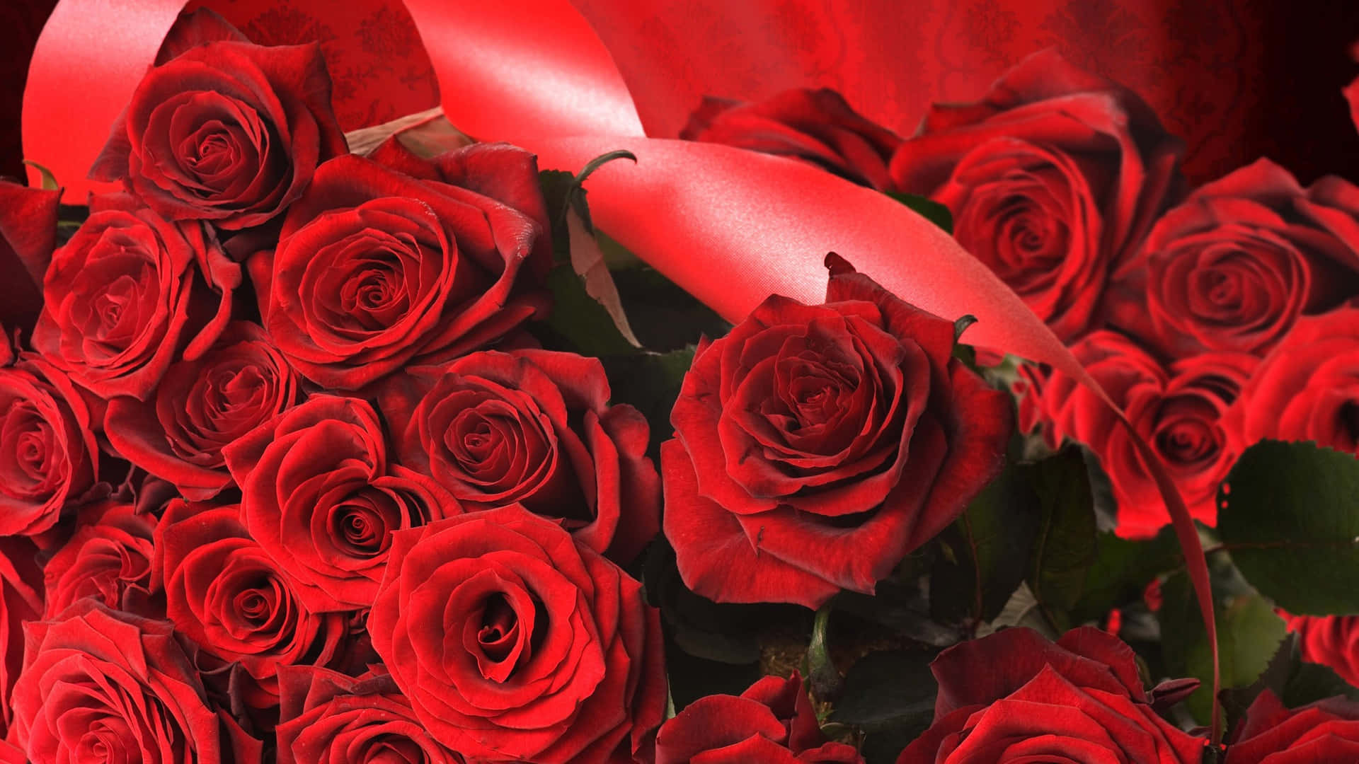 Hd Rose Red Rose Aesthetic Background