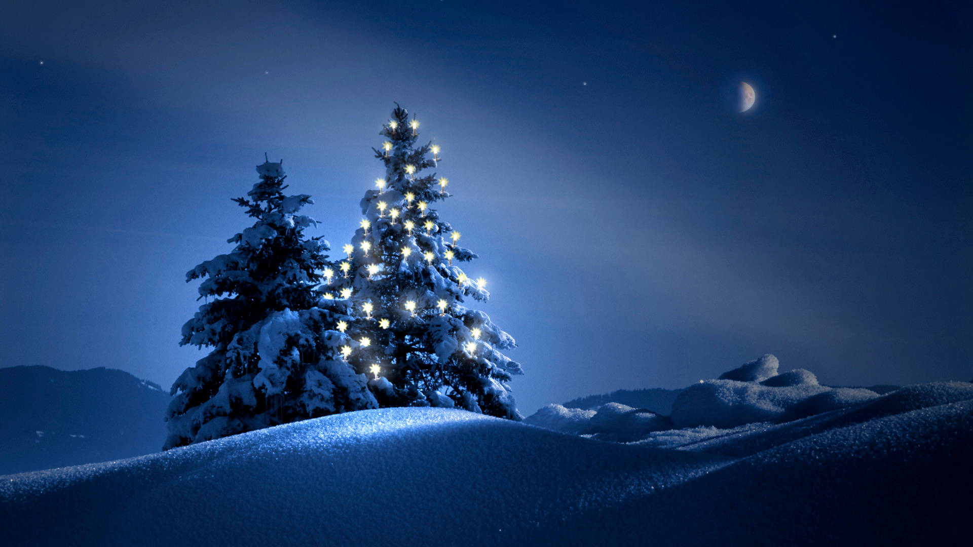 Hd Scenery Night Christmas Tree Background