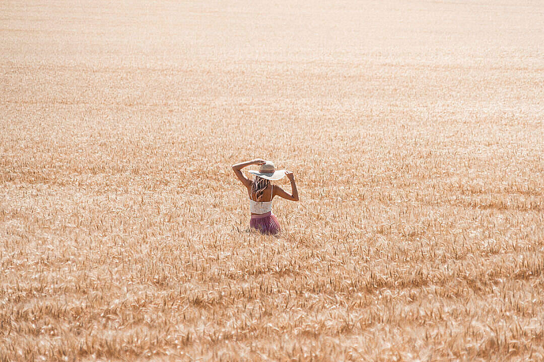 Hd Scenery Woman In Wheat Field Background