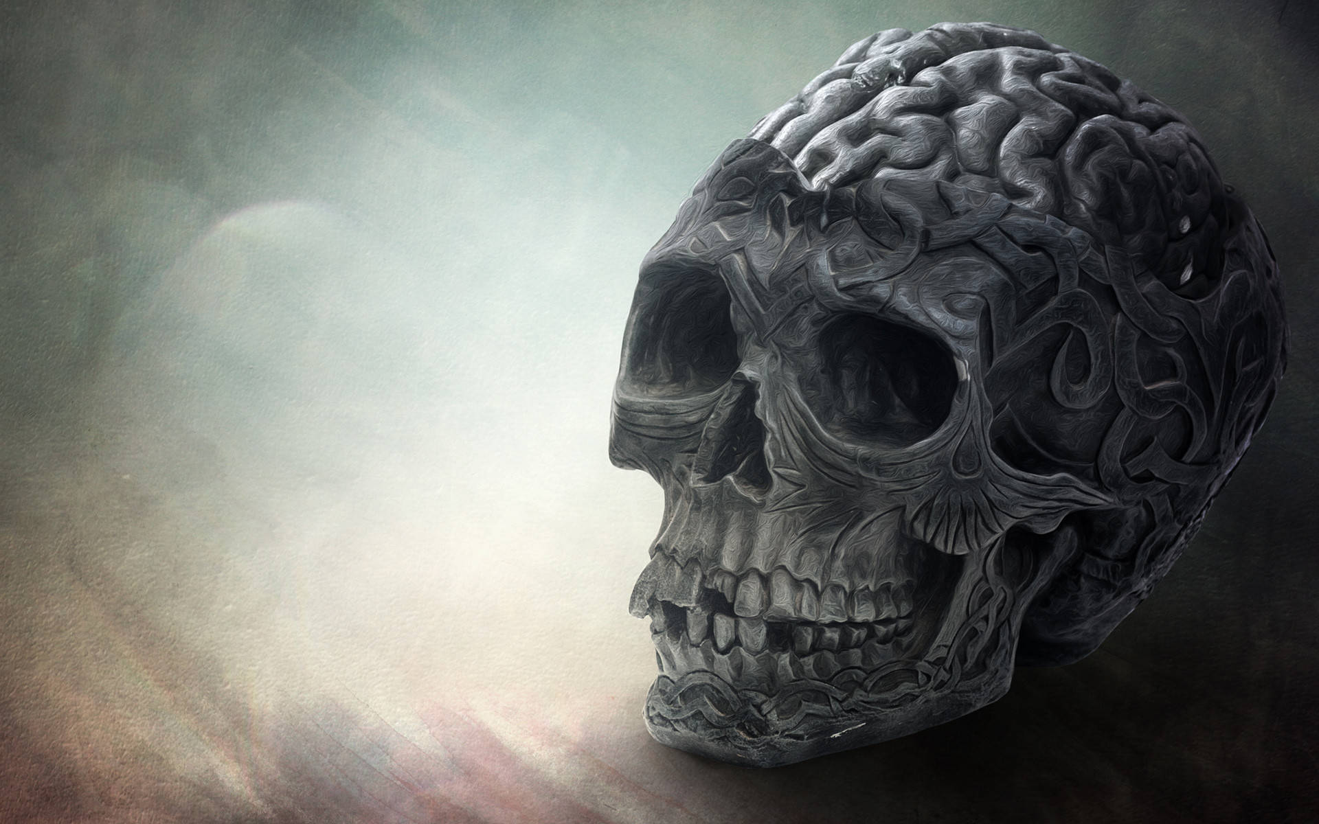 Hd Skull With Brain Background