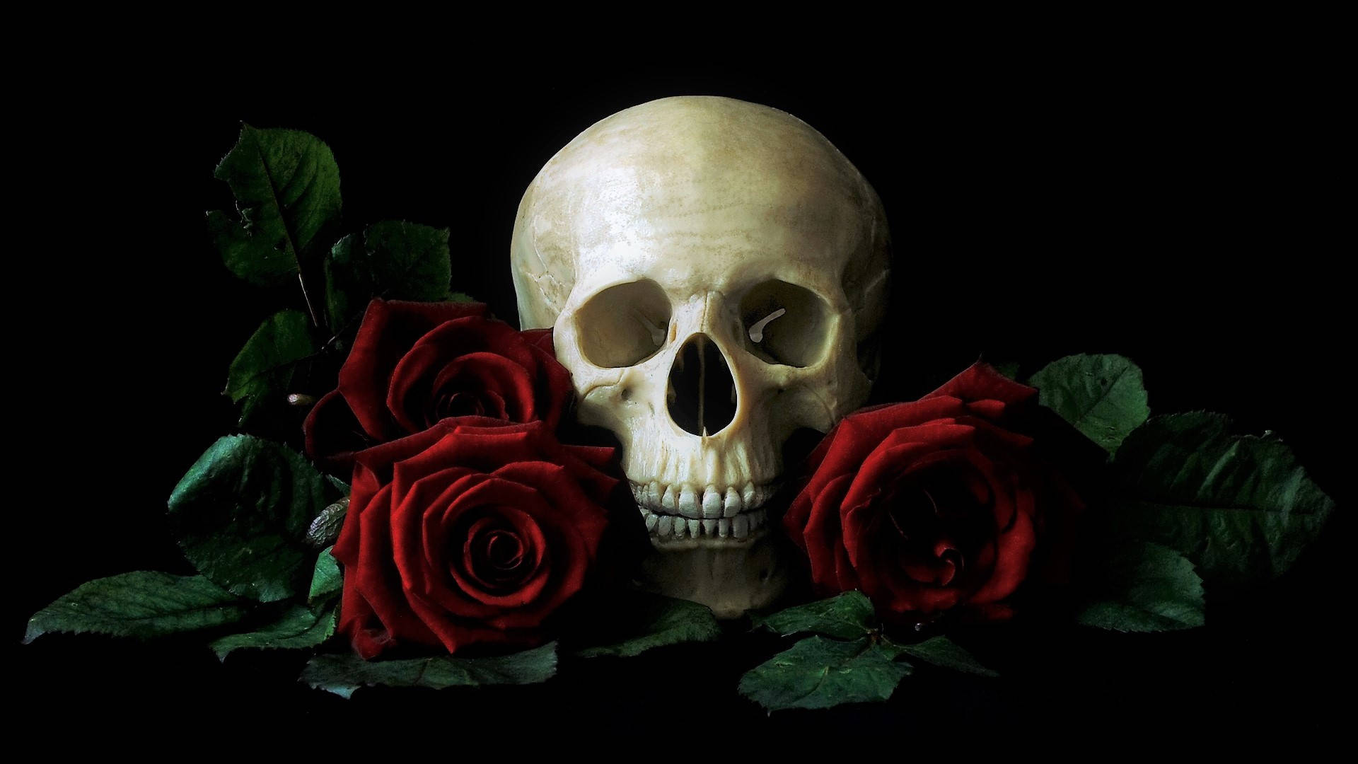 Hd Skull With Red Roses Background