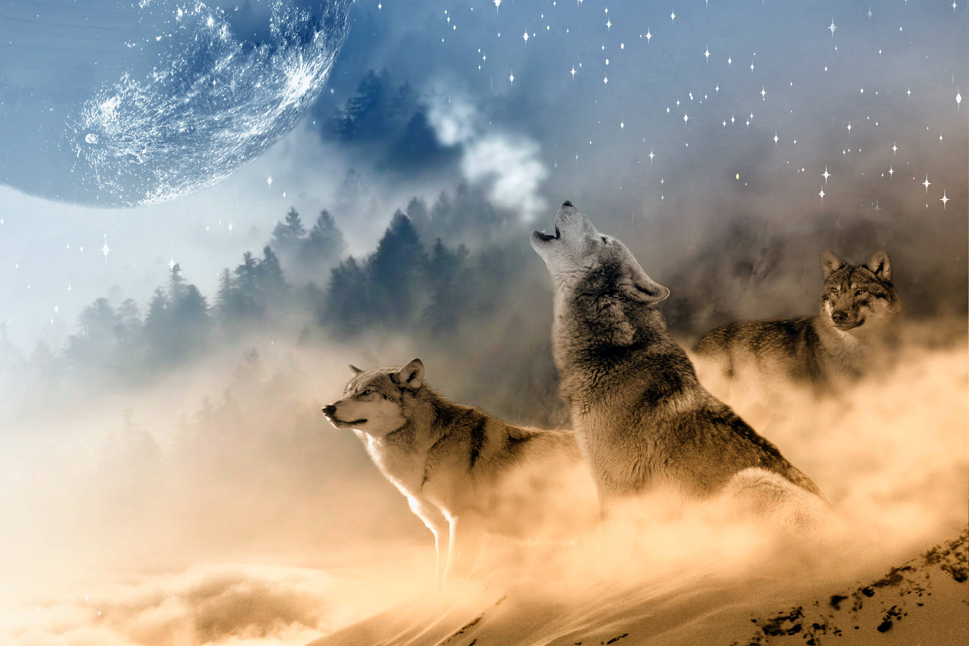 Hd Wolf Colorful Fantasy Background