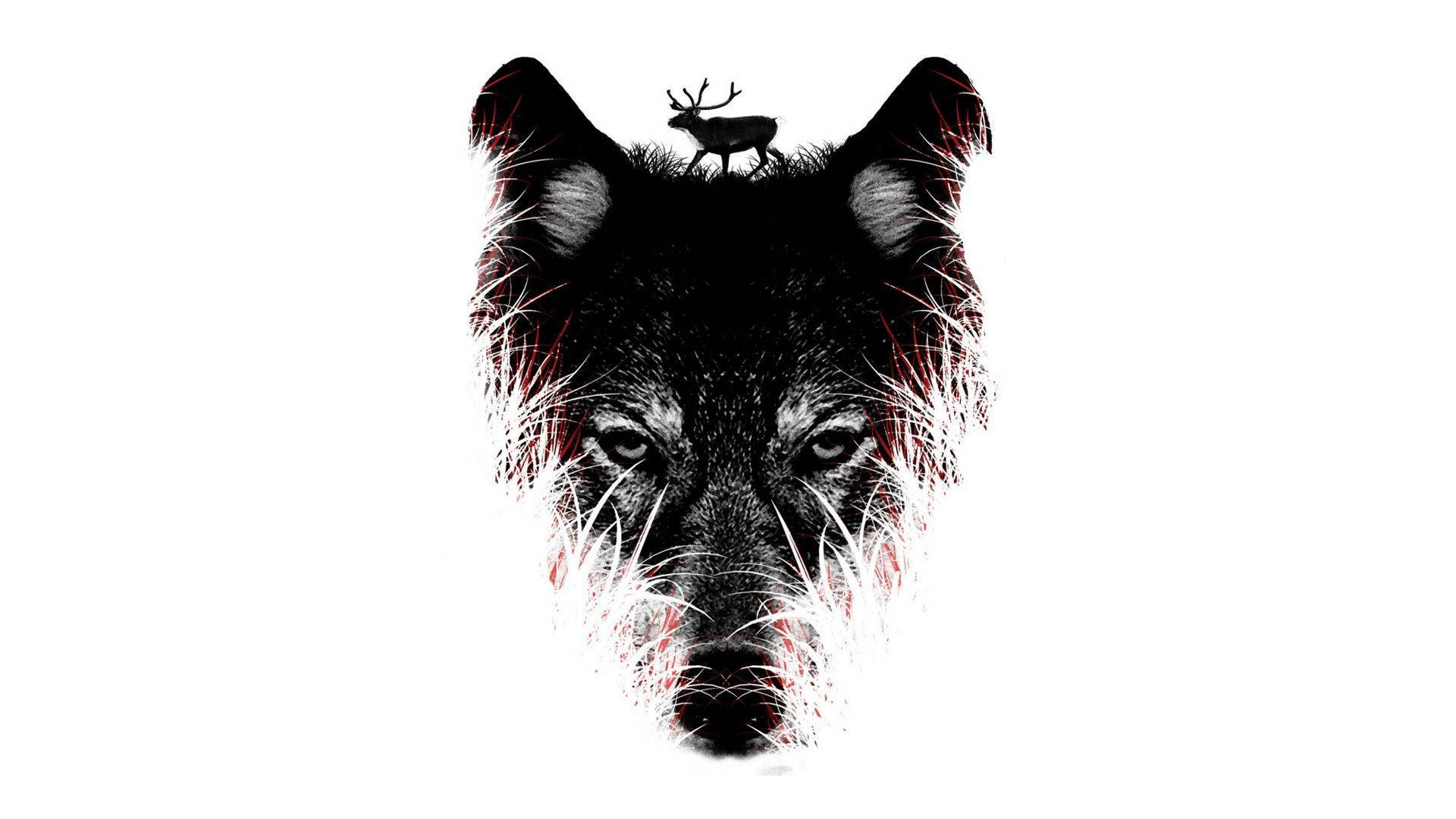 Hd Wolf Head Moose Background