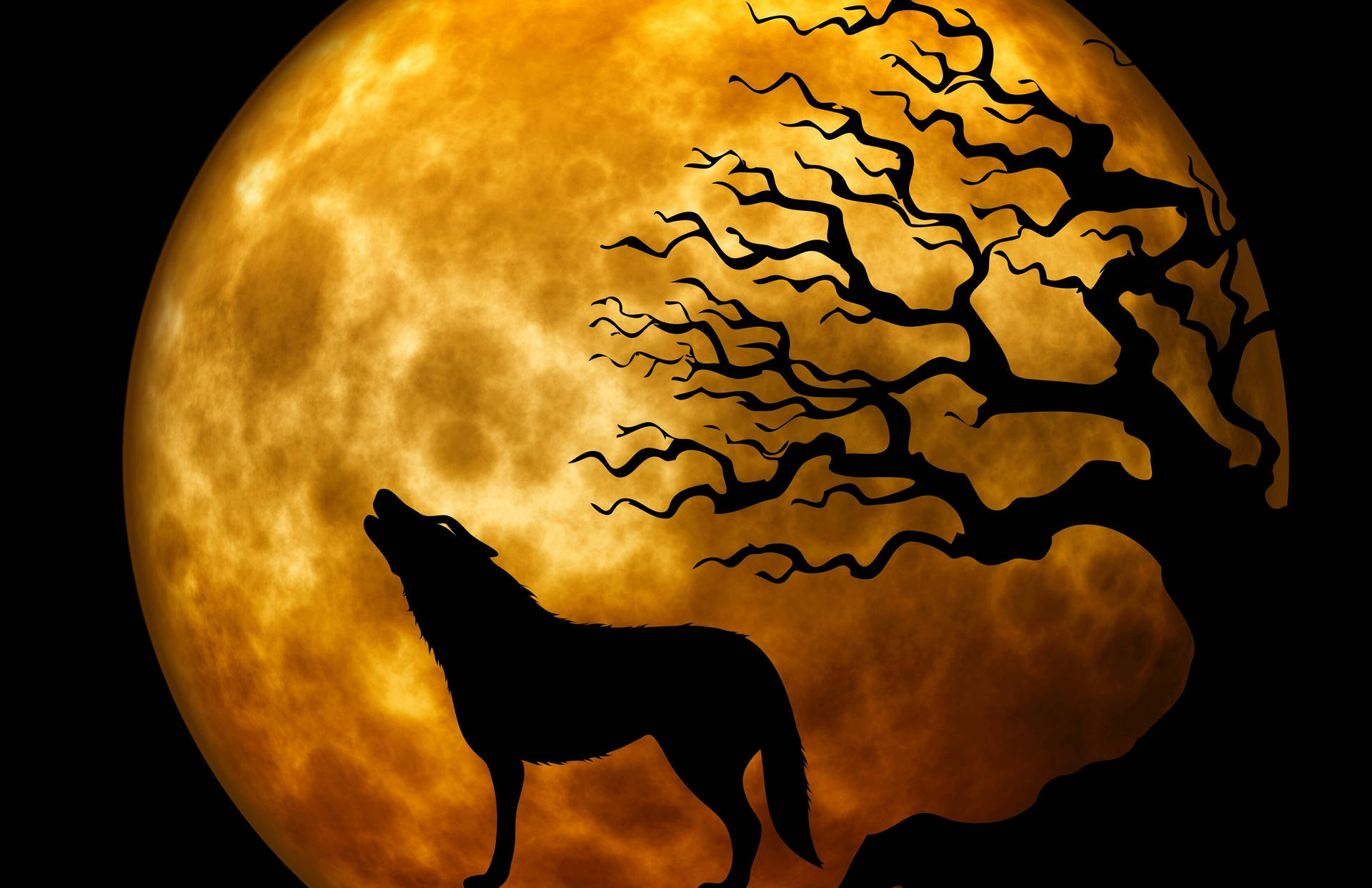 Hd Wolf Howling At Full Moon Background