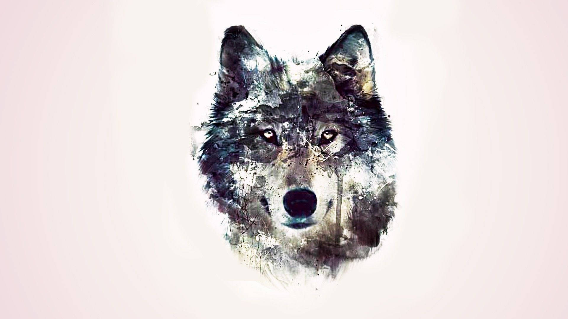 Hd Wolf Watercolor Art Background