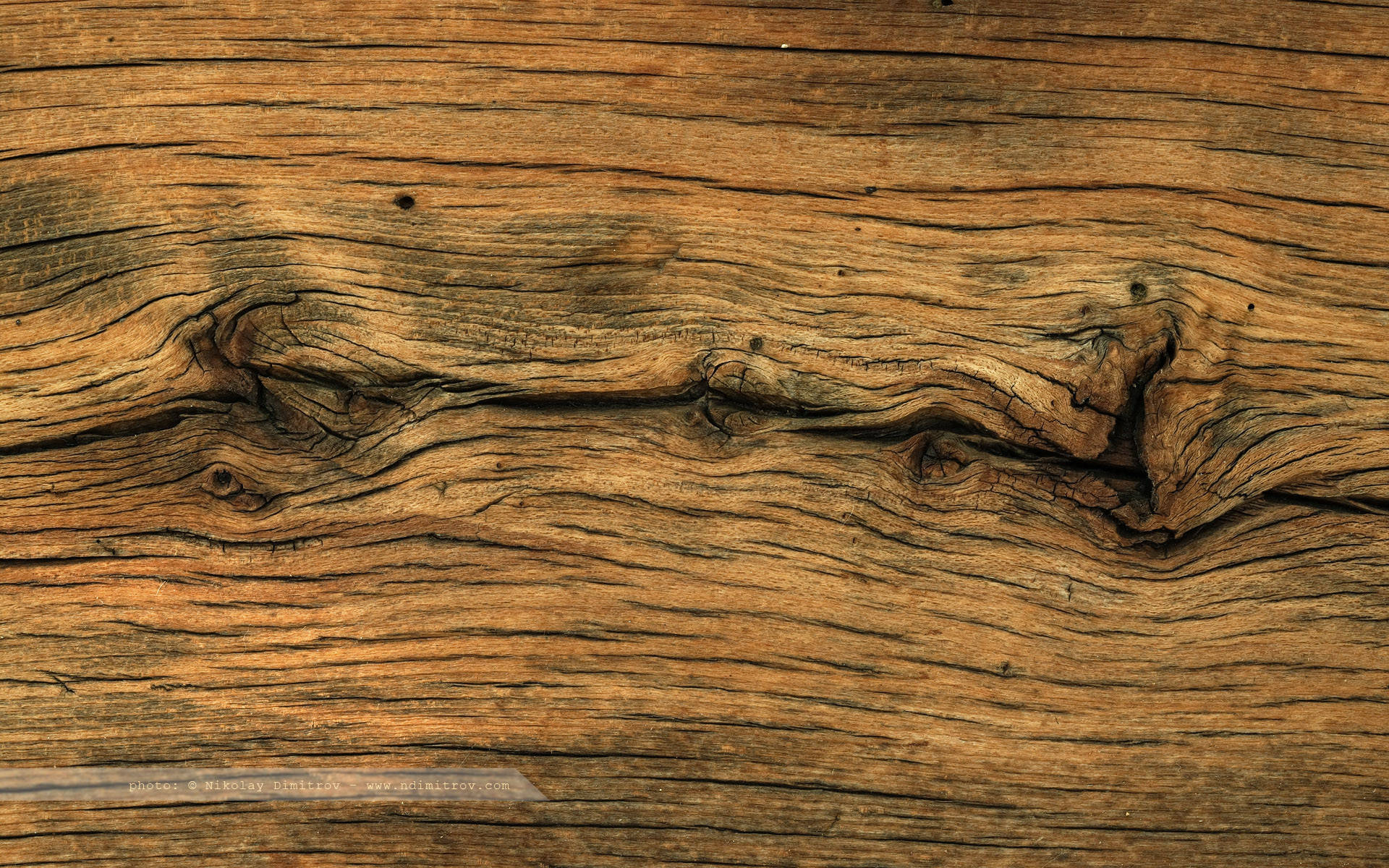 Hd Wood Natural Contours Background