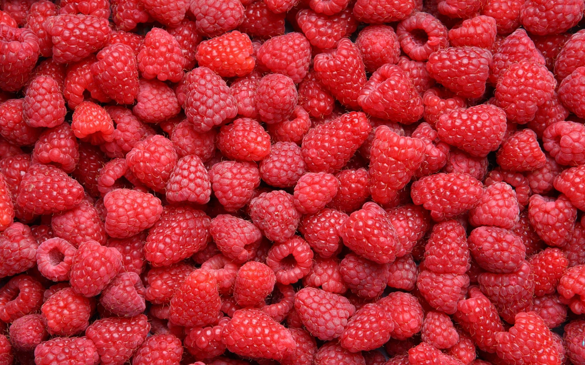 Heap Of Red Raspberries