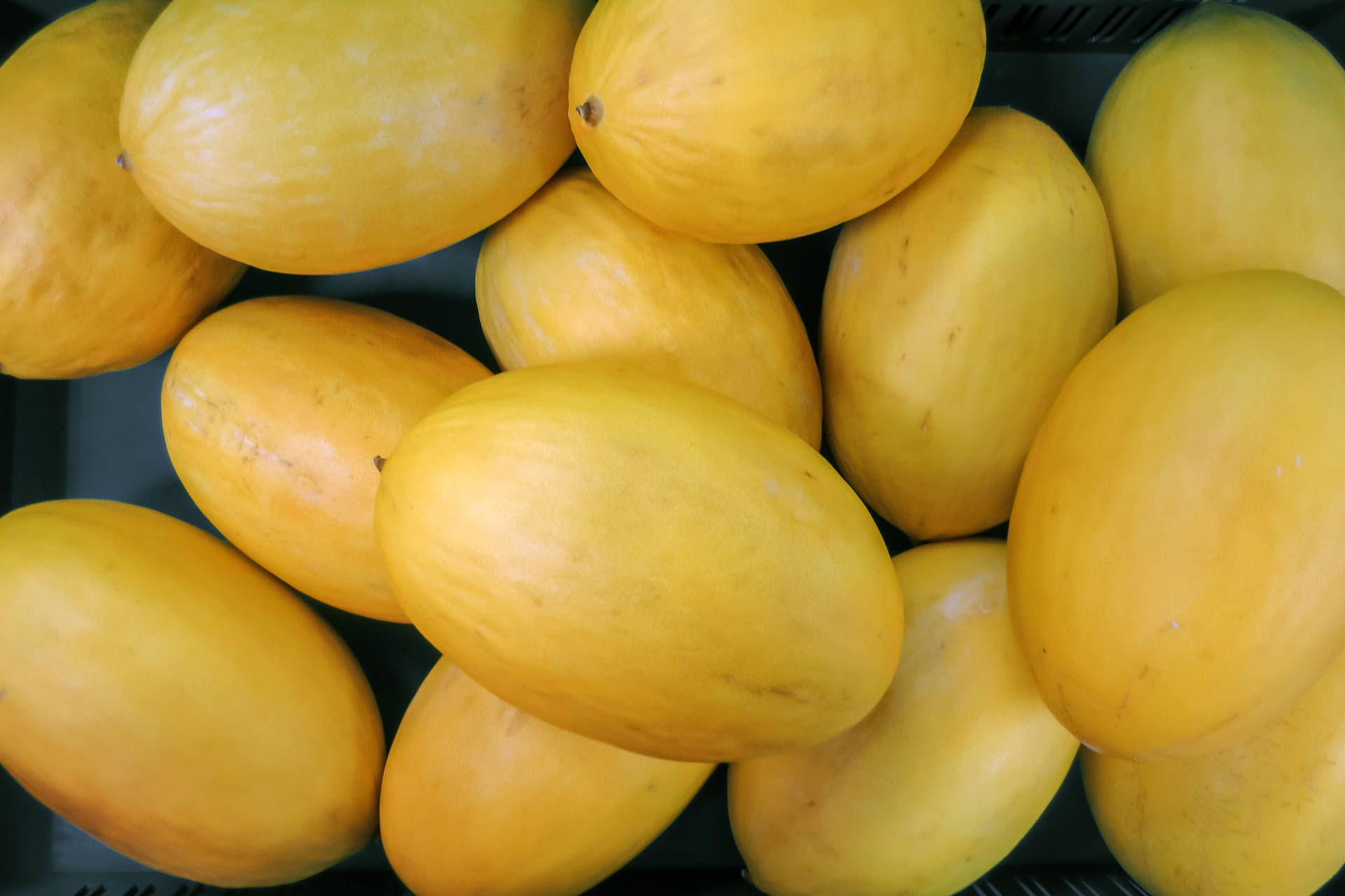 Heaps Of Canary Melon Background