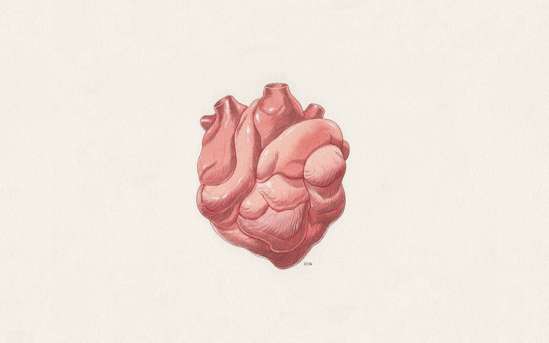 Heart Digital Vector Art Background