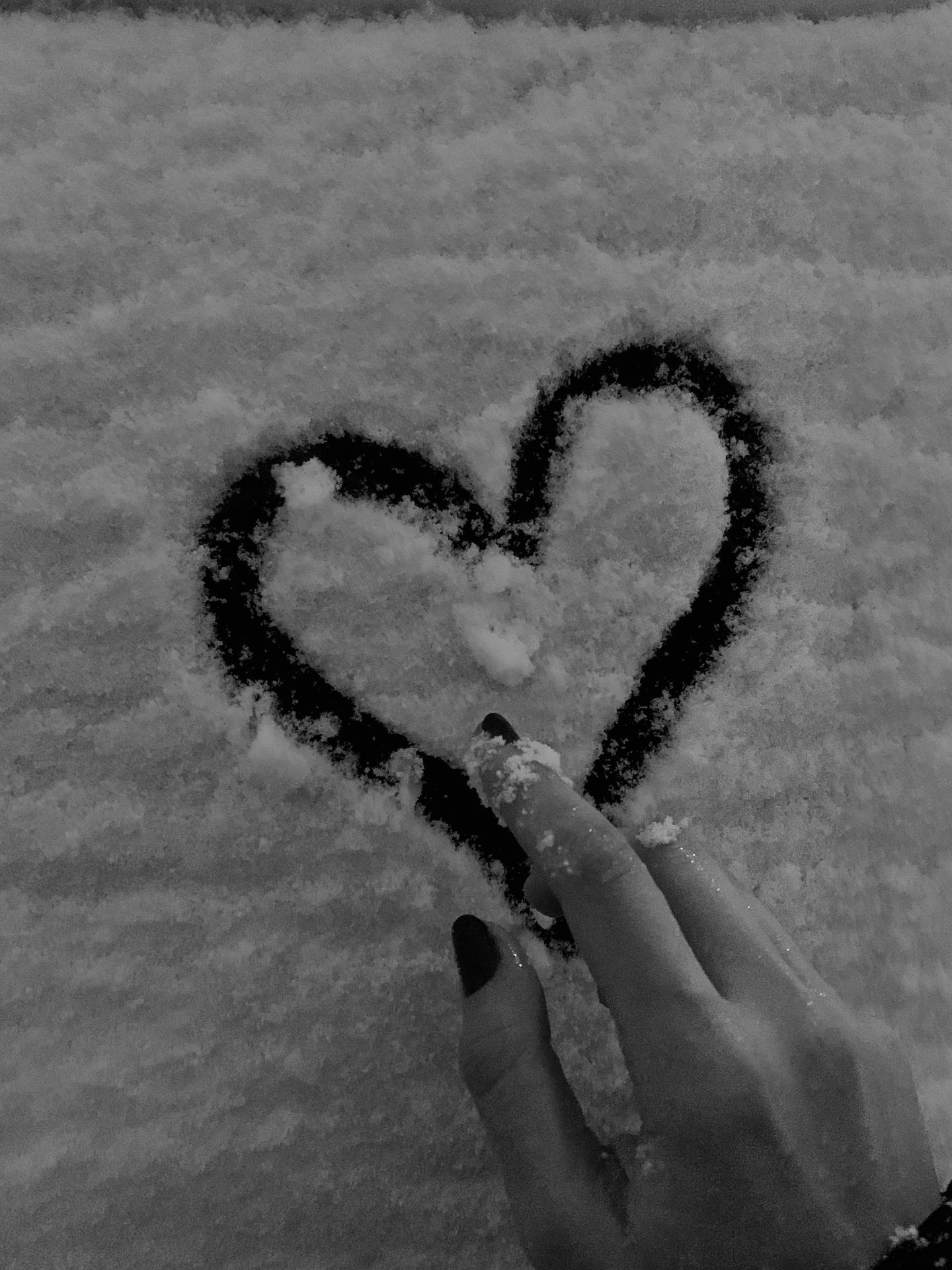 Heart In Snow Love Black And White Background