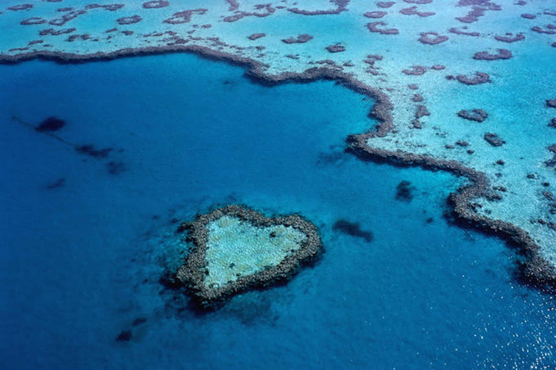 Heart Reef Great Barrier Reef Aerial View