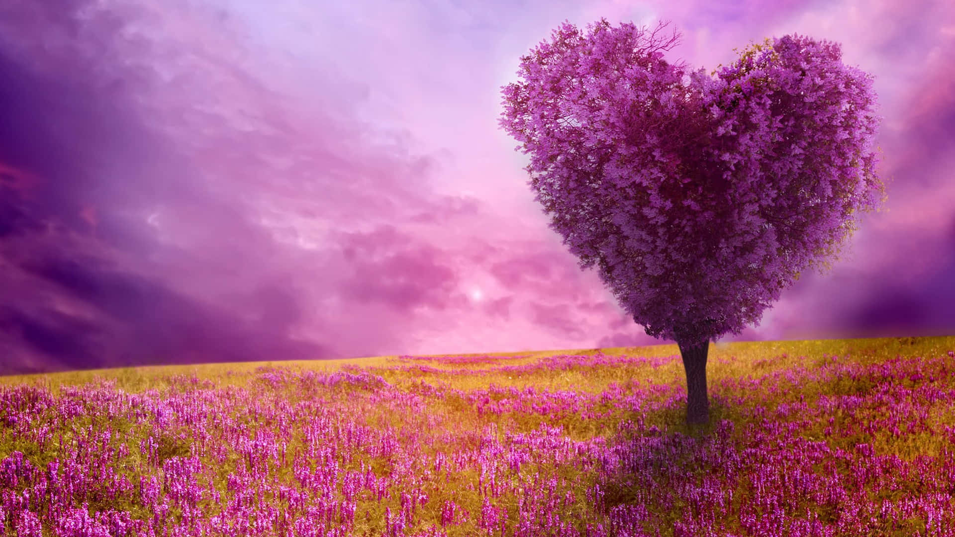 Heart Shape Tree Cute Spring Desktop Background