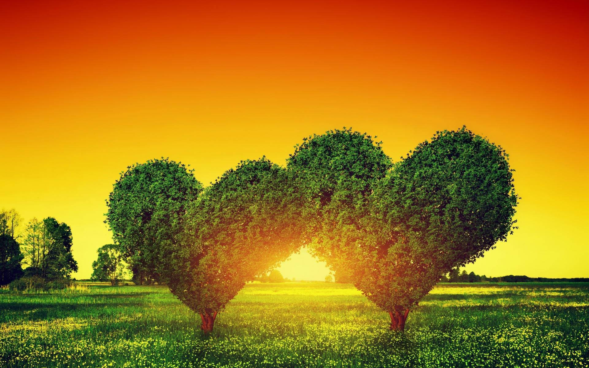 Heart-shaped Green Trees Background