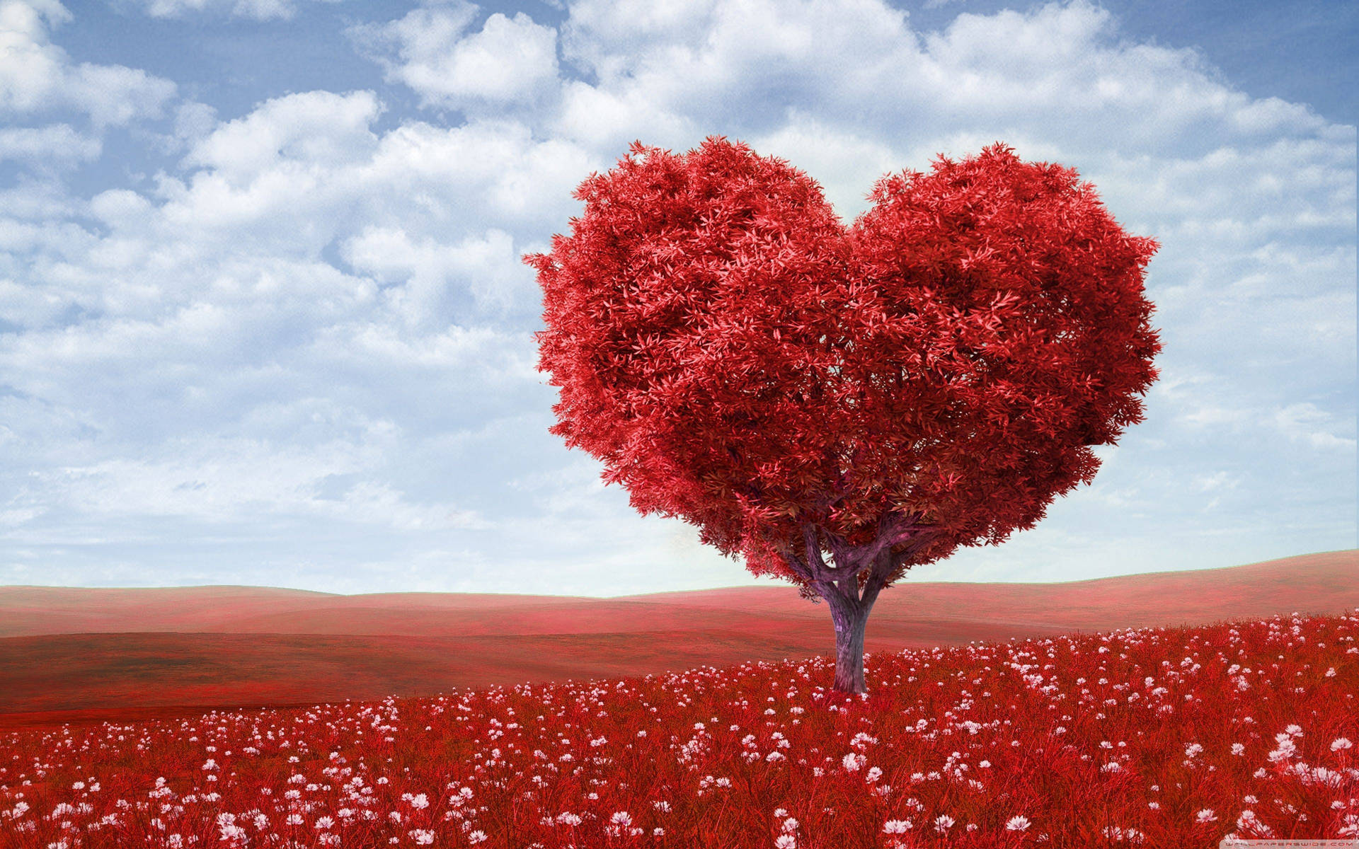 Heart Tree Valentines Desktop Background