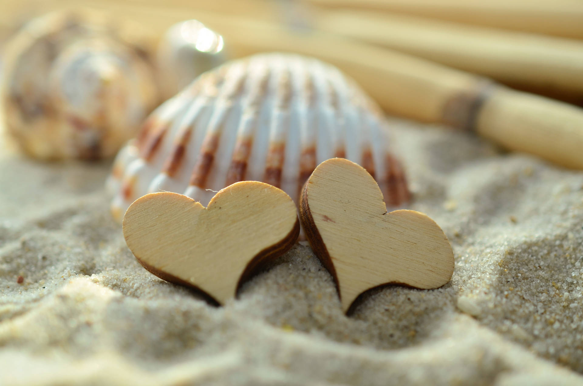 Hearts And Shells In The Sand Background