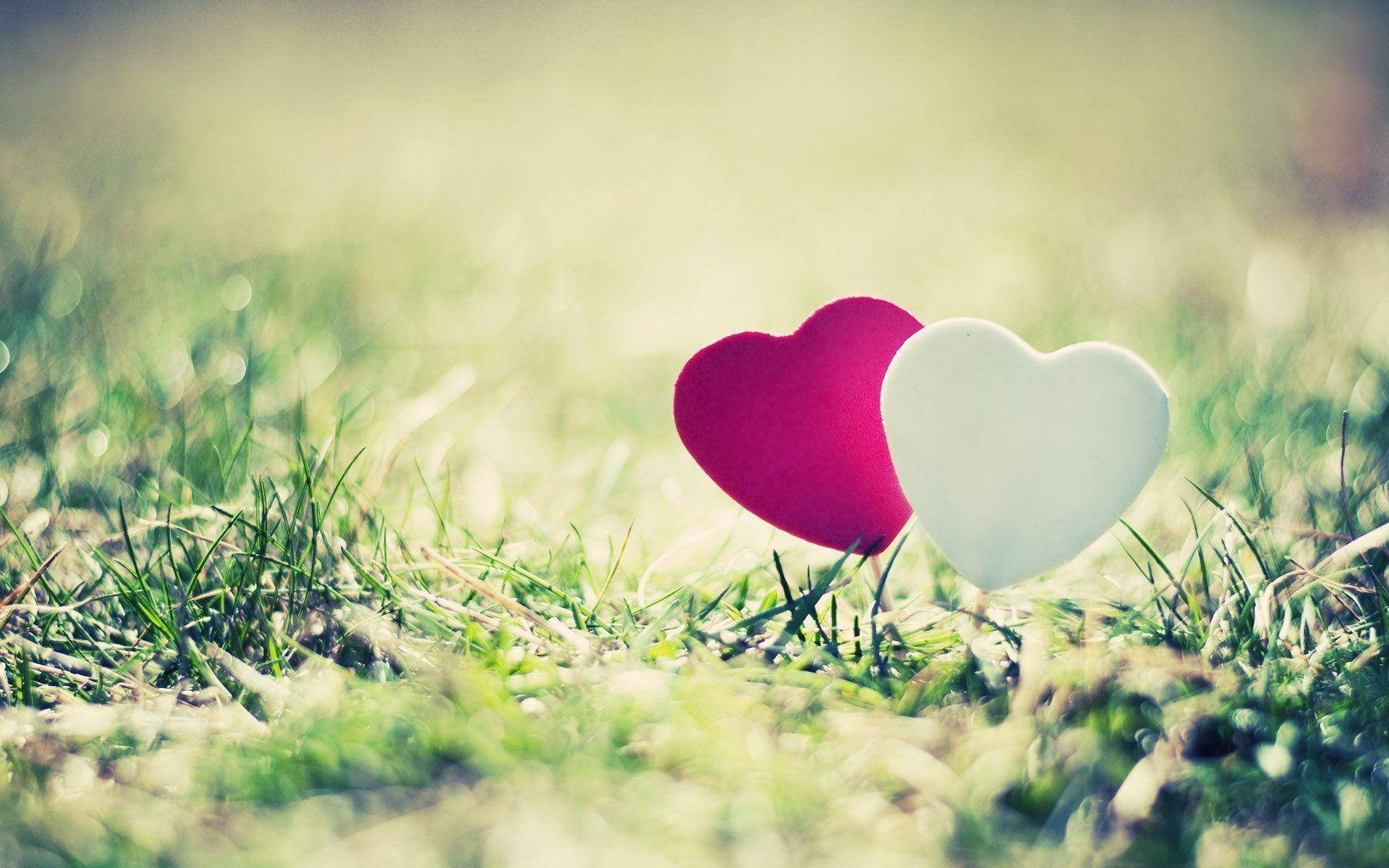 Hearts In Grass Love Nature Background