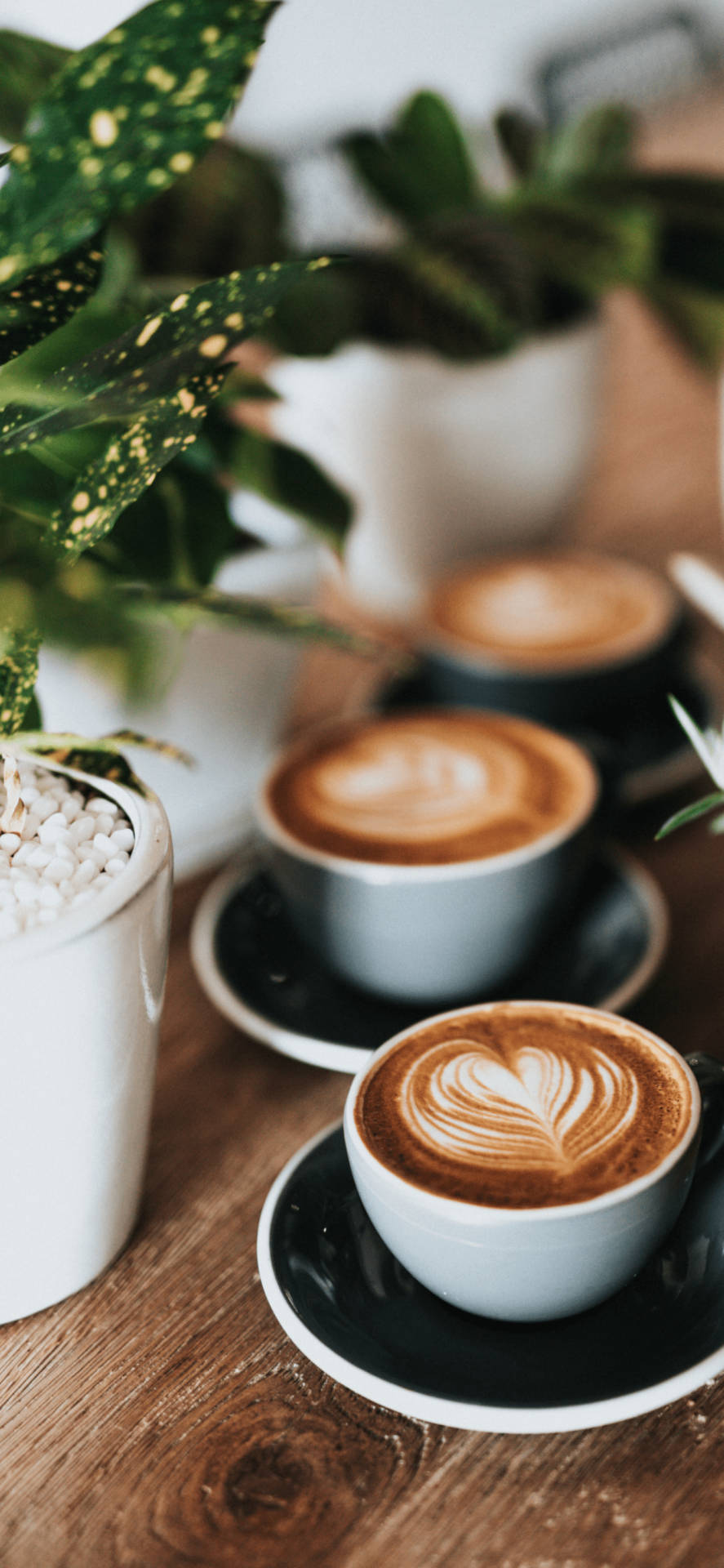 Hearts On Coffee Aesthetic Background