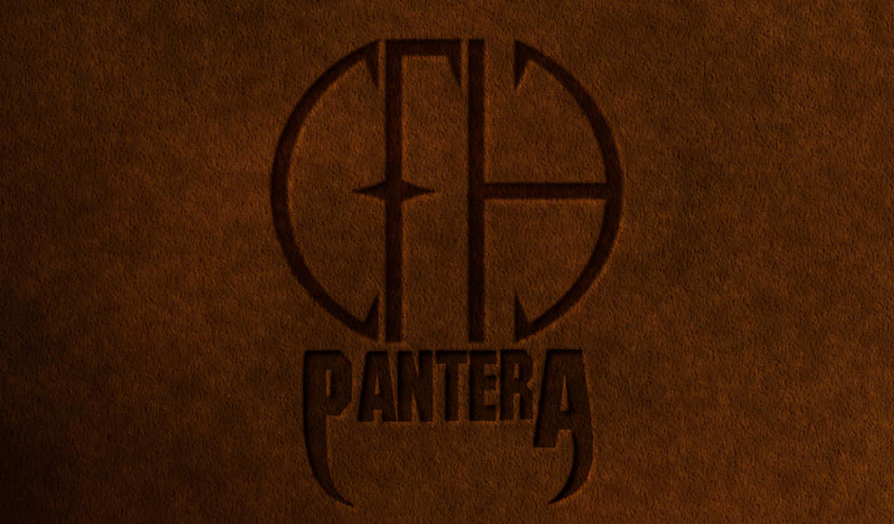Heavy Metal Band, Pantera, In Performance Background