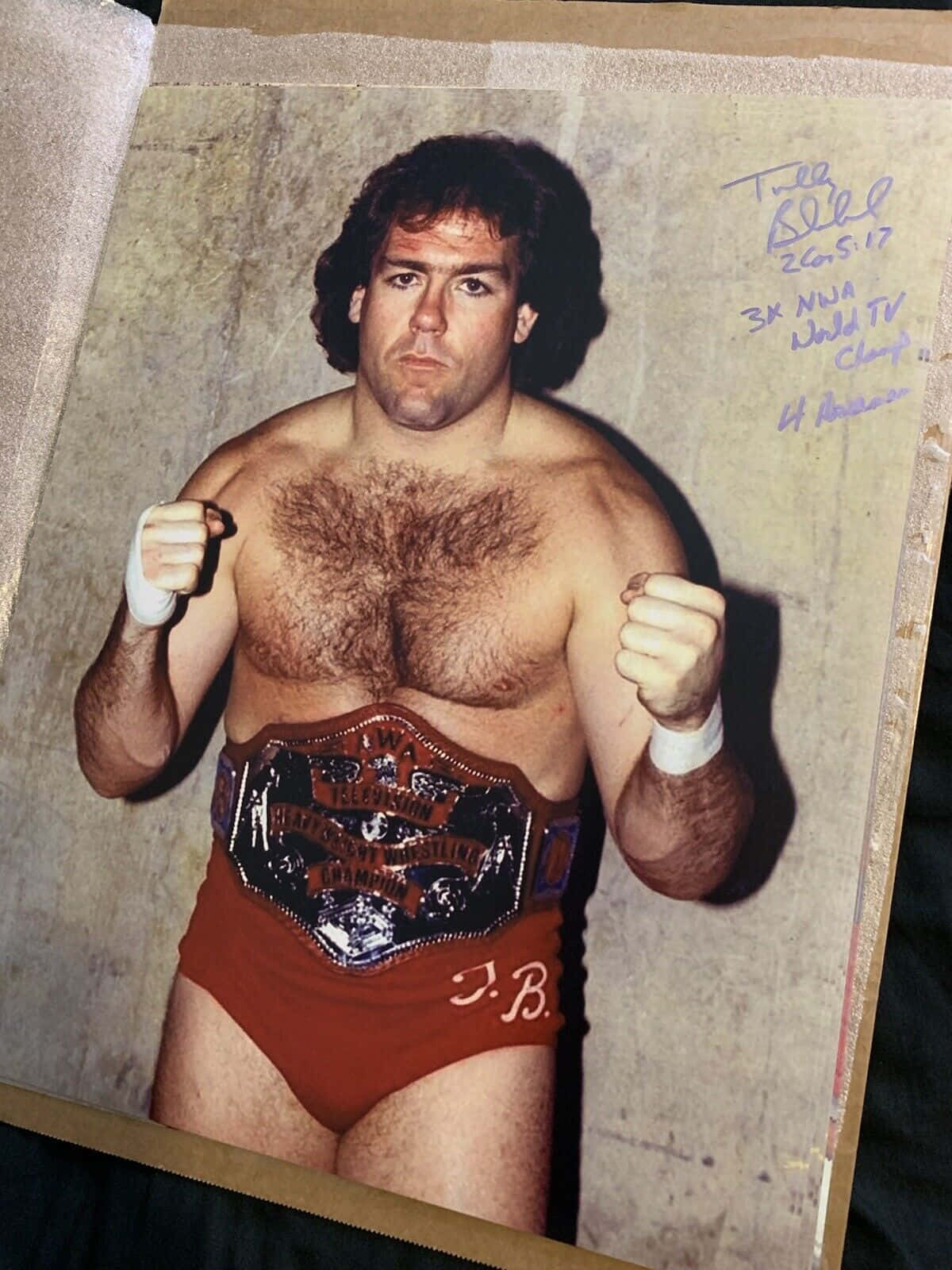 Heavyweight Wrestling Champion Tully Blanchard Background