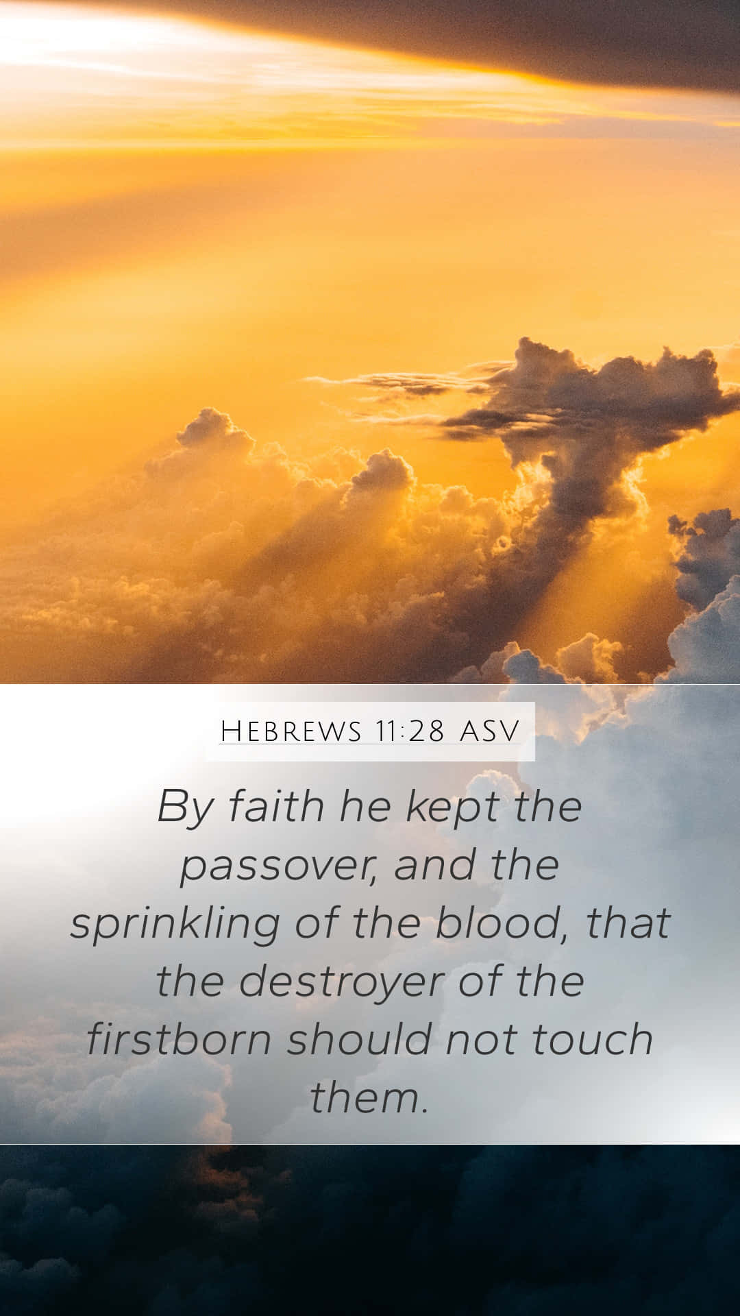 Hebrews 11 Any Faith He Hath The Root, The Passover And The Blood, That They Should Not Touch Them Background