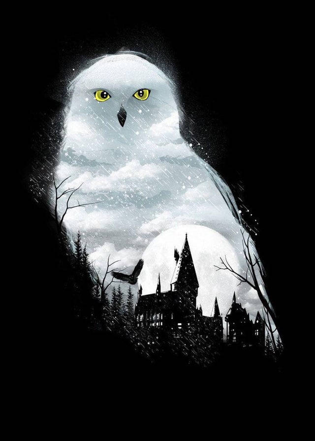 Hedwig Hp Aesthetic Background