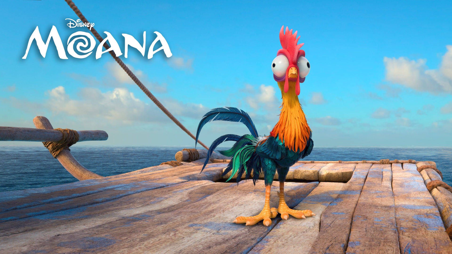 Hei Hei The Rooster Moana 4k Background