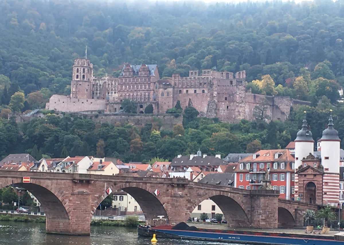 Heidelberg Castle Foggy Morning