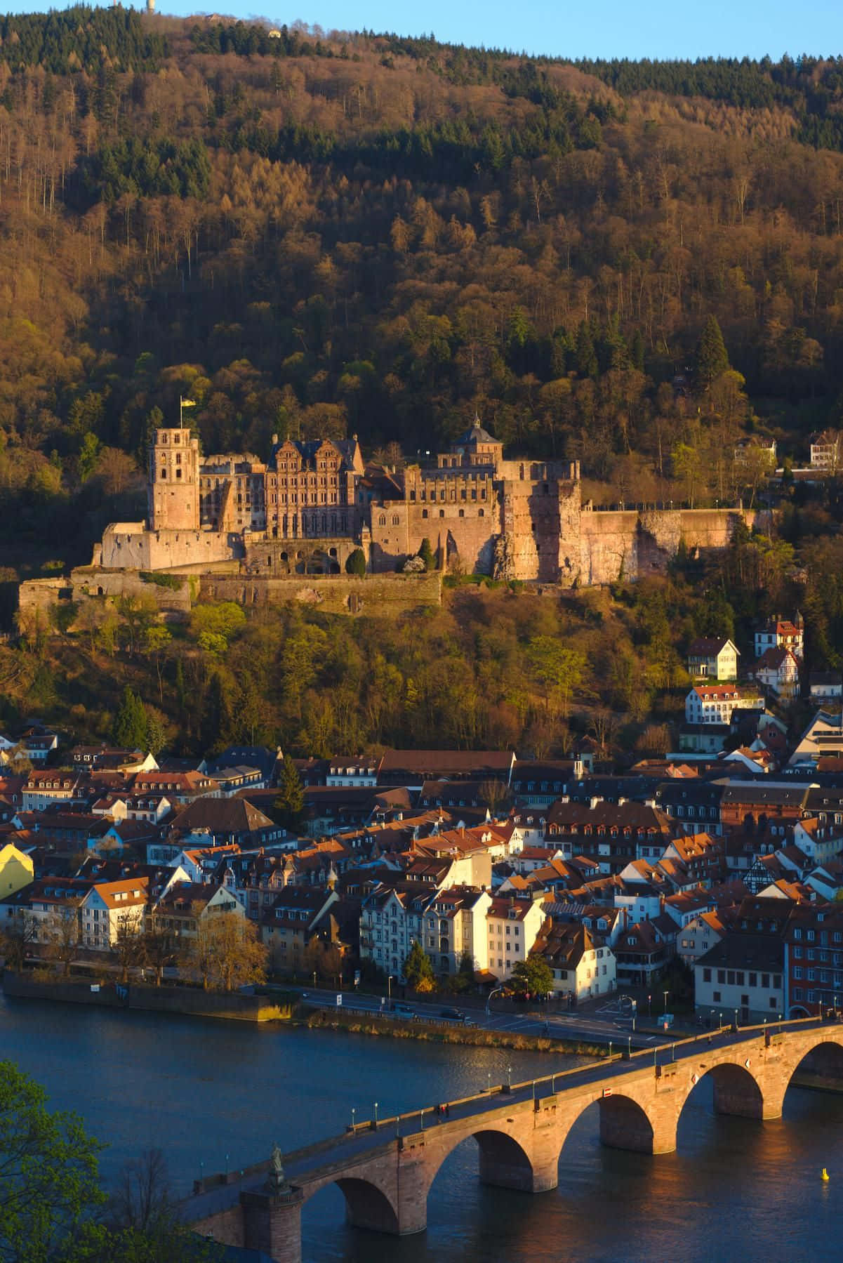 Heidelberg Castle For Phone Background